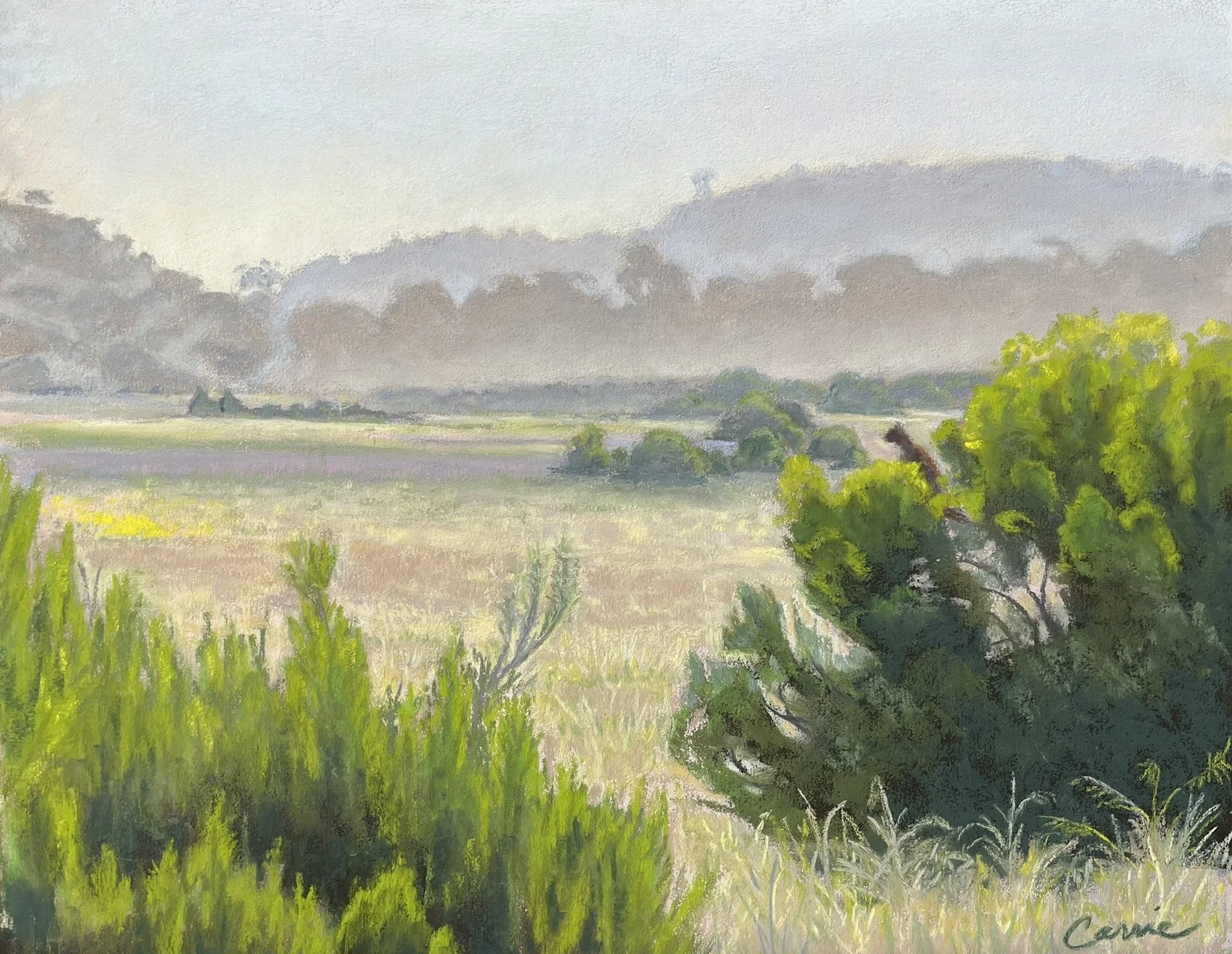 The Lookout, #37  Pastel, 11x14 inches unframed, 17x20 inches framed, $800.00 