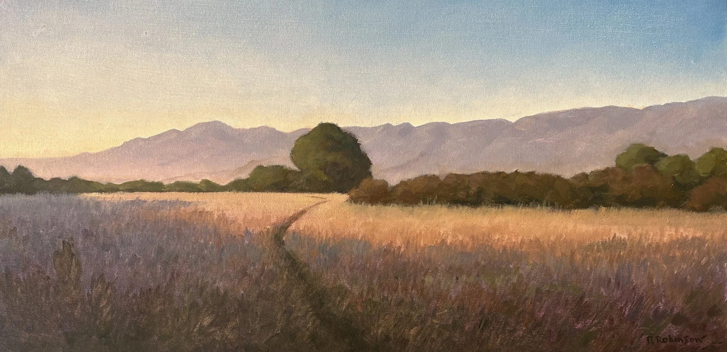  Light and Shadows on More Mesa, #85  Oil on canvas, 12x24 inches unframed, 18x30 inches framed, $3,000.00 