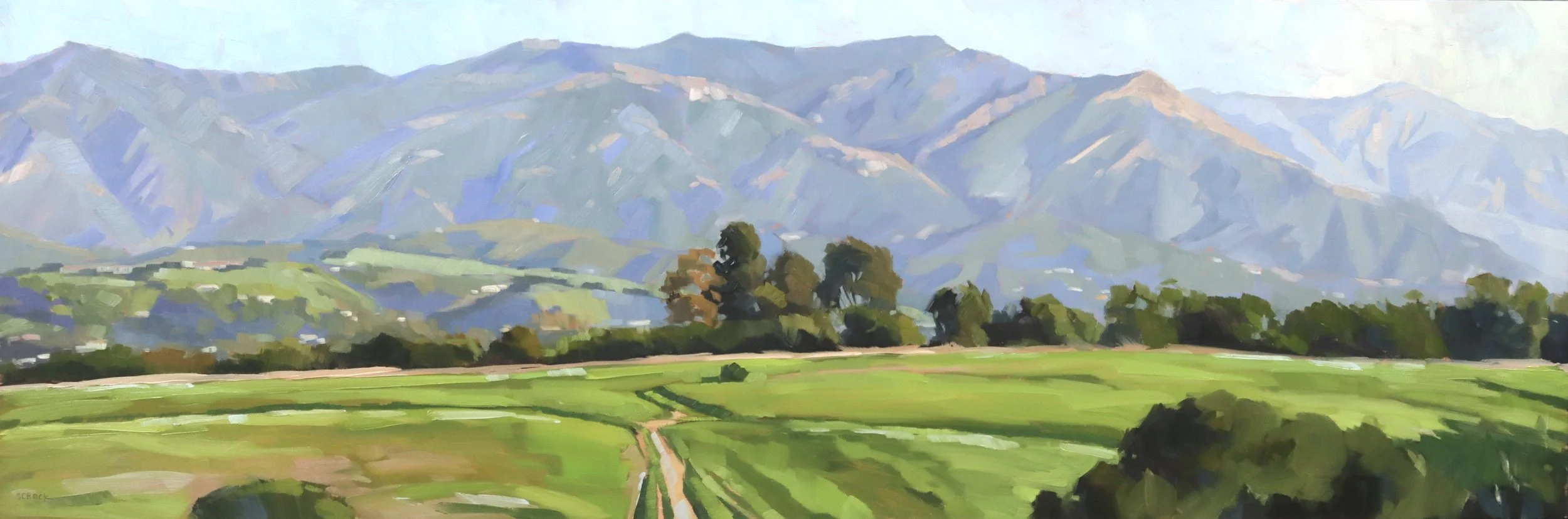  More Mesa Panorama, #96  Oil on panel, 10x30 inches unframed, 10x30 inches framed, $1,500.00 
