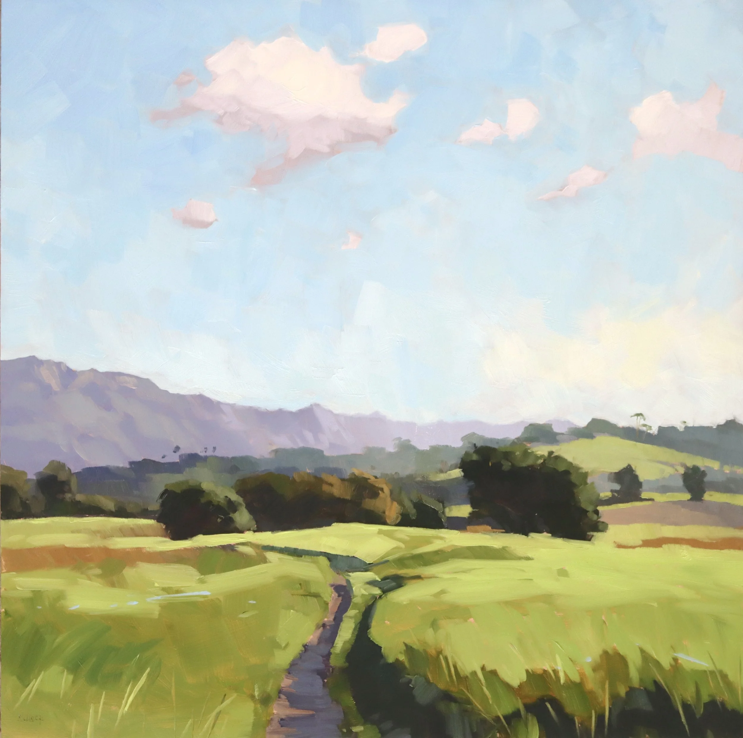  Floating Above, #95  Oil on panel, 12x12 inches unframed, 15x15 inches framed, $750.00 