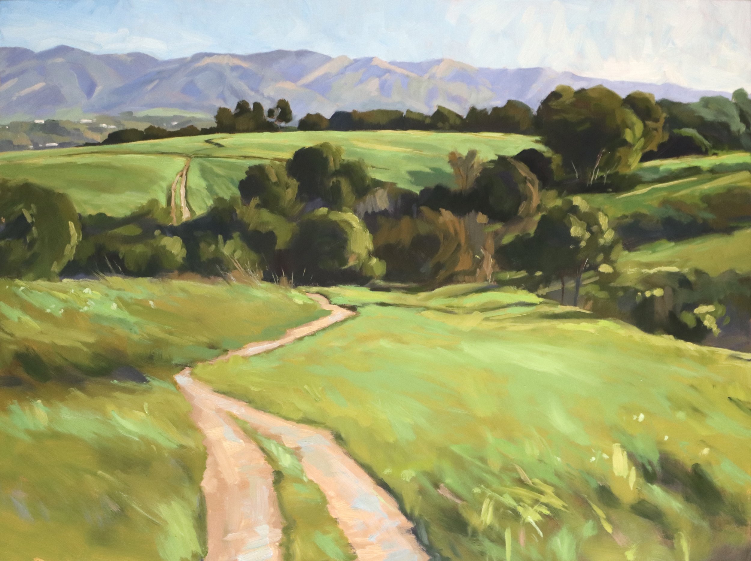  Where Green Holds the Sun, #97  Oil on panel, 18x24 inches unframed, 20x26 inches framed, $1,900.00 