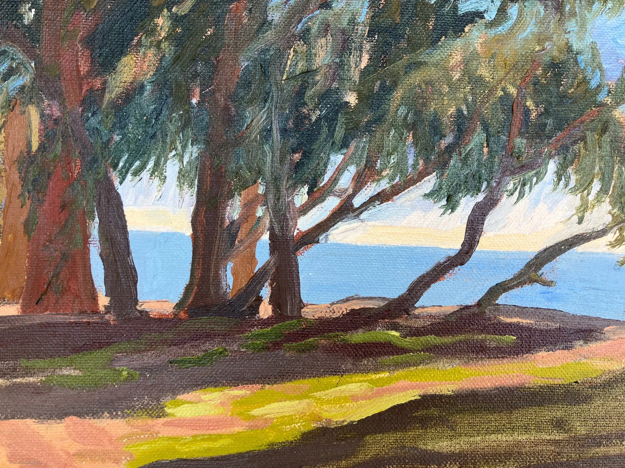  Eucalyptus Shade, #100  Oil on canvas, 8x10 inches unframed, 12x14 inches framed, $400.00 