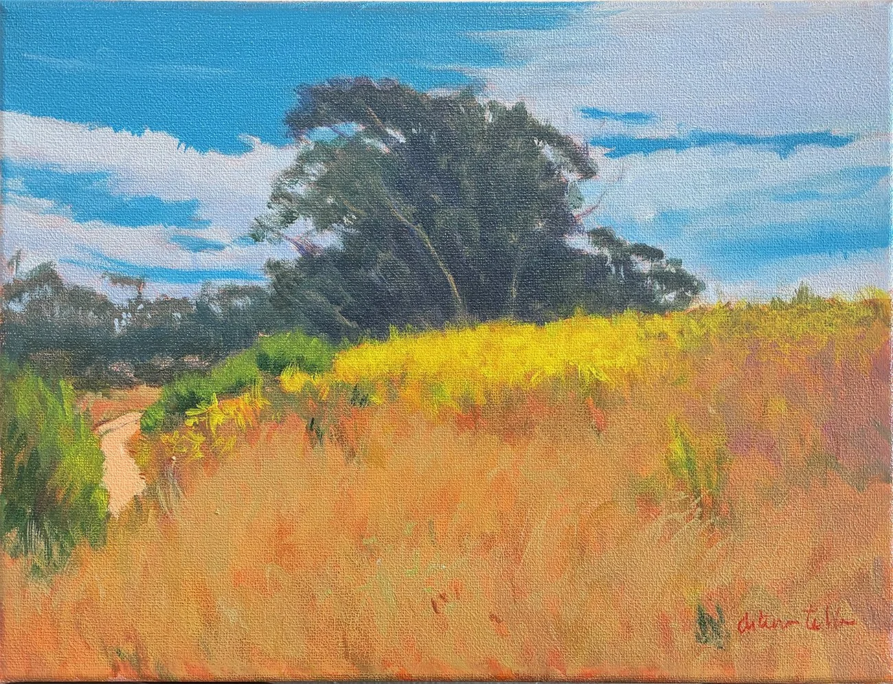  Grove at More Mesa, #103  Acrylic, 9x12 inches unframed, 15x18 inches framed, $1,000.00 