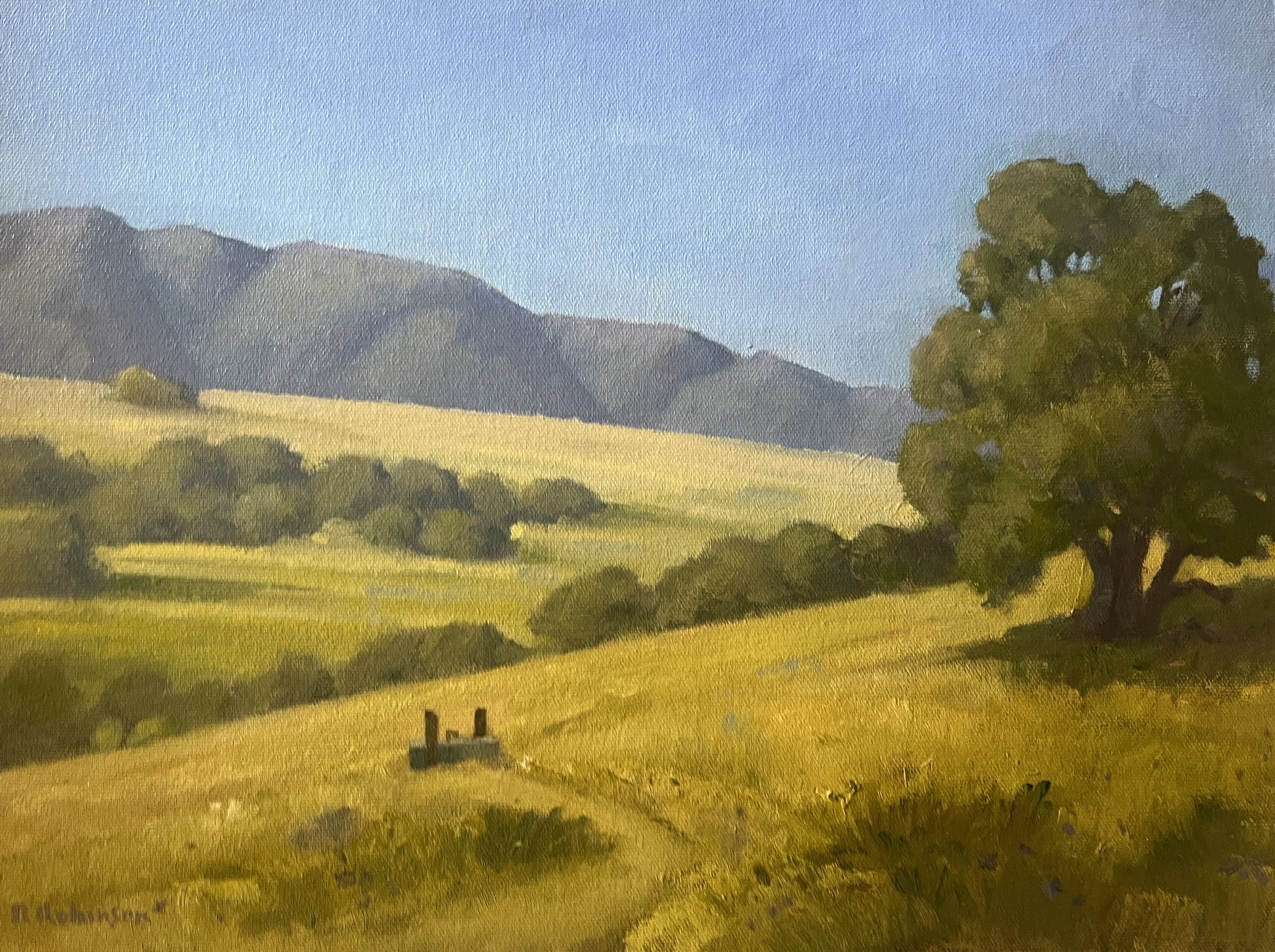 Rob Robinson
