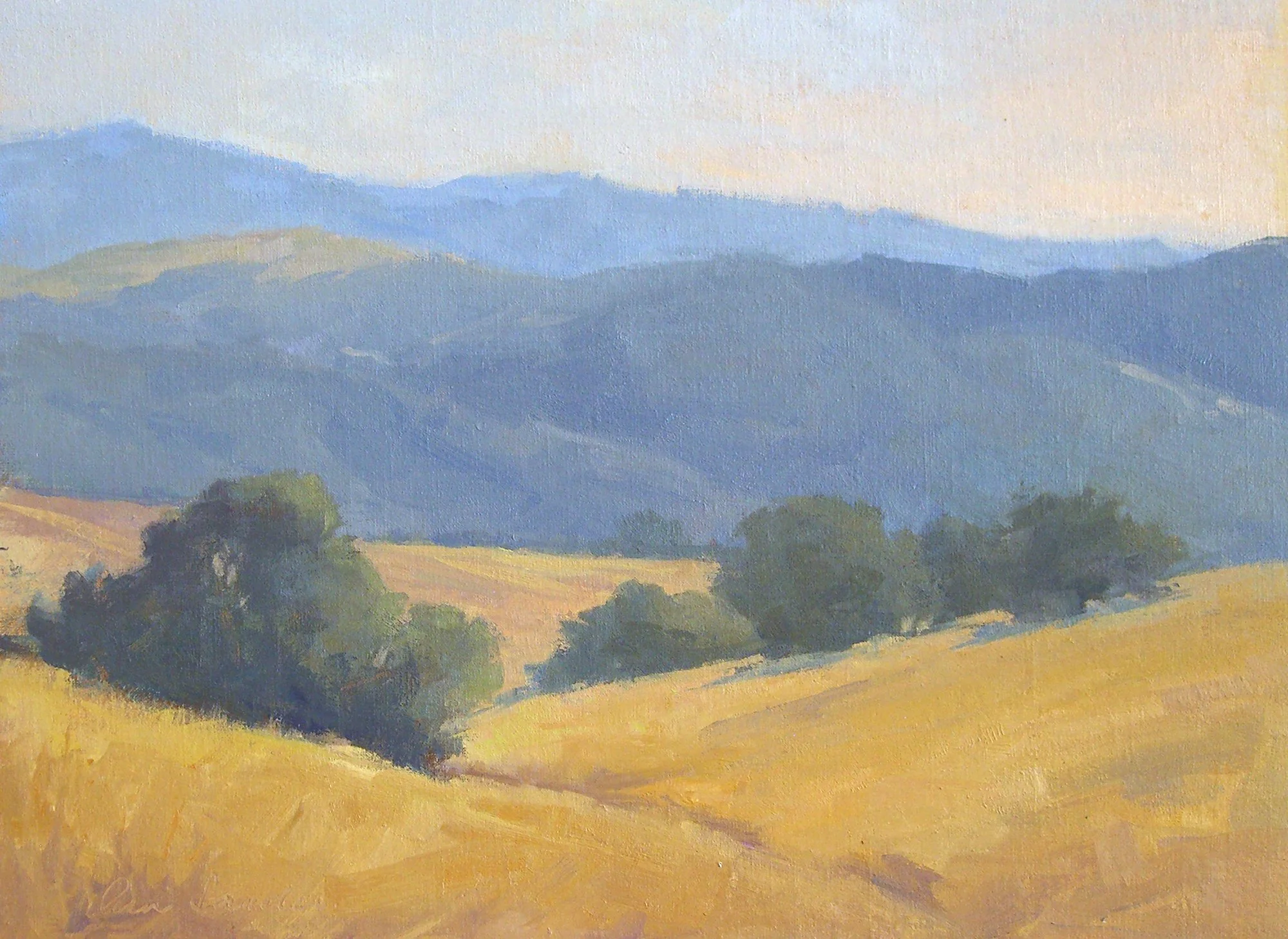 Ann Sanders
