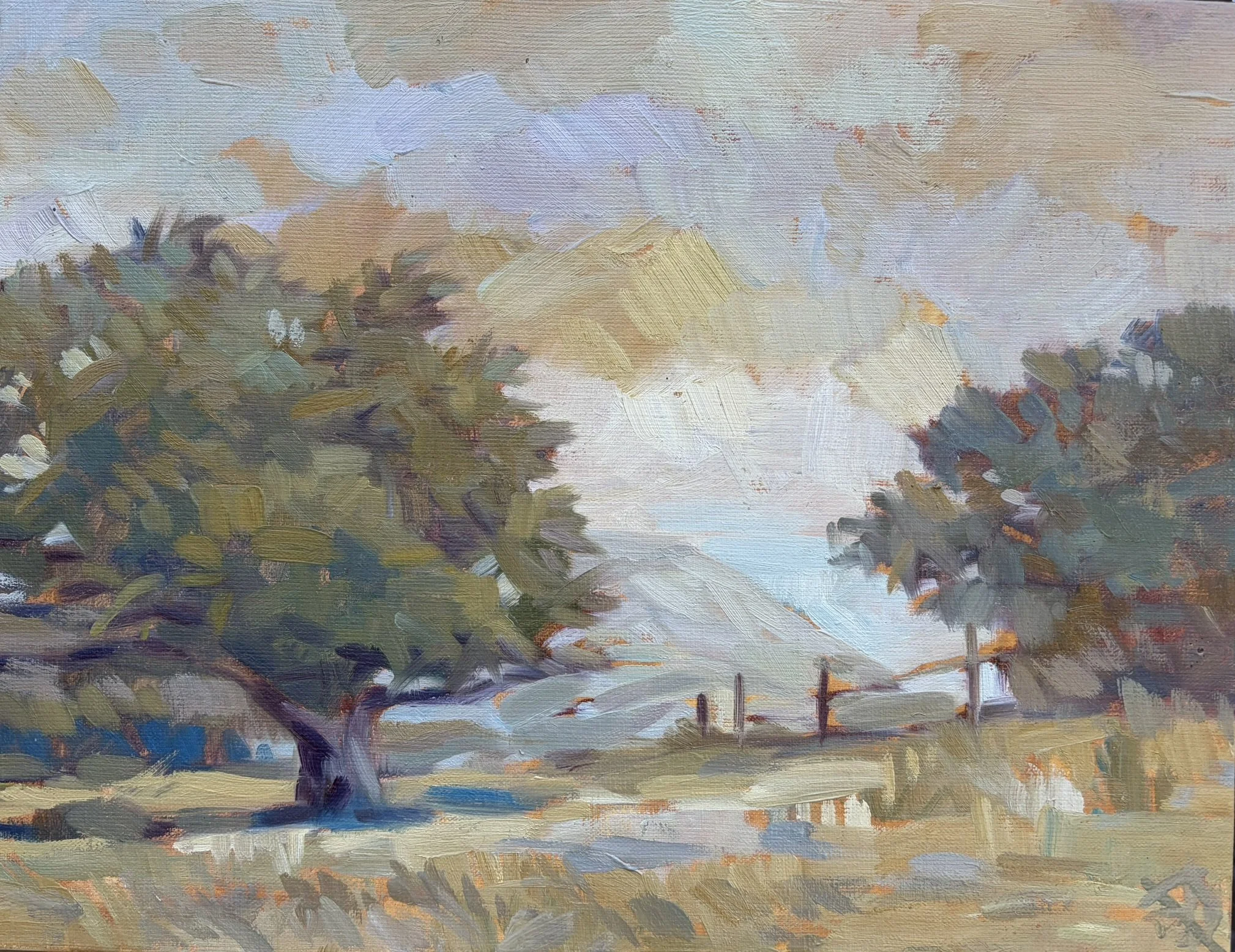 Whitney Abbott
