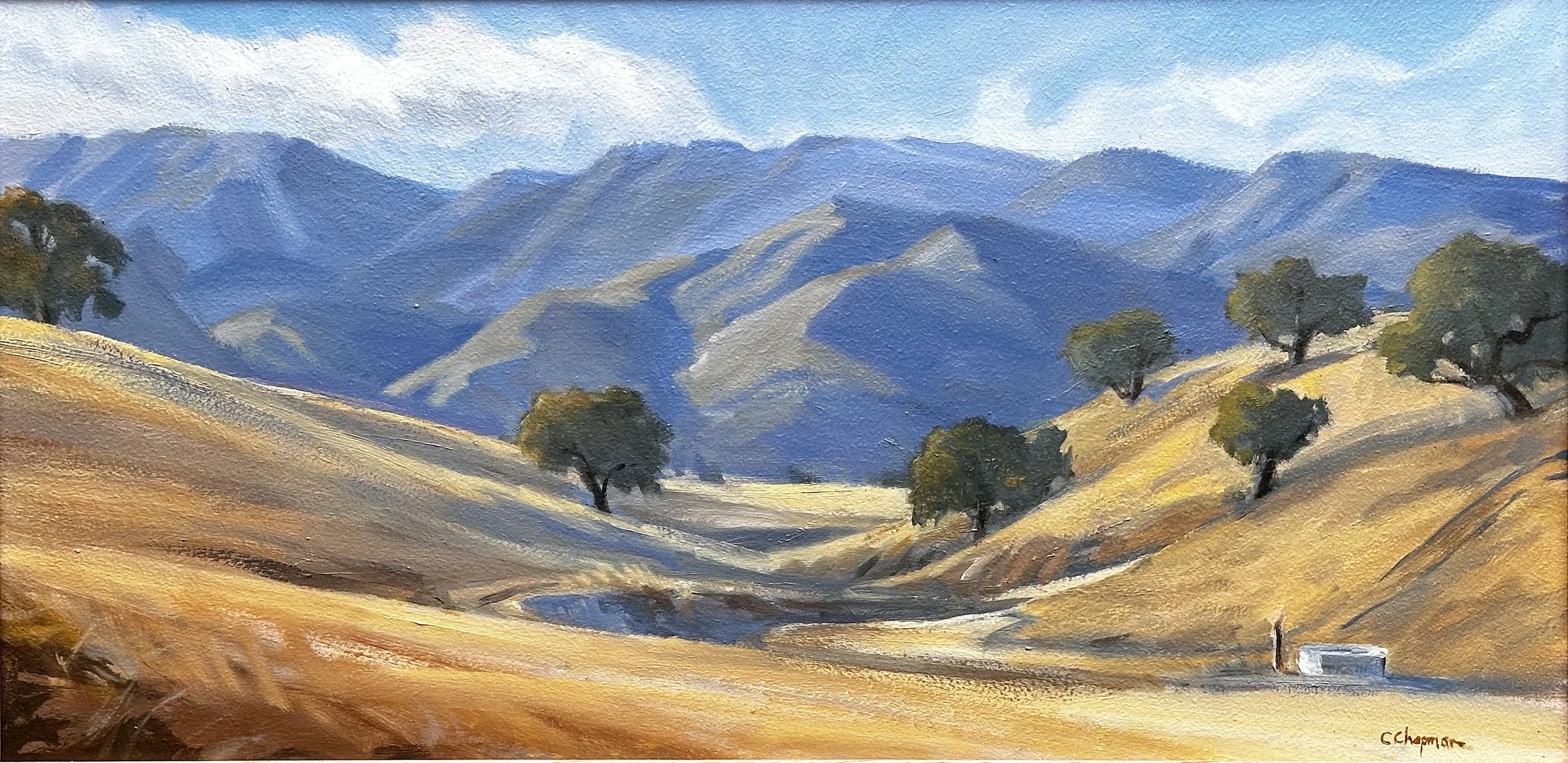 Chris Chapman