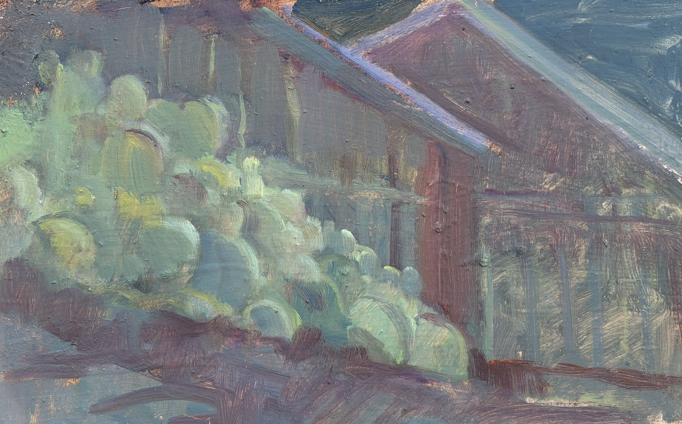  El Chorro Cactus, #2  Oil on board, 6x12 inches unframed, 10x16 inches framed, $1,300.00 