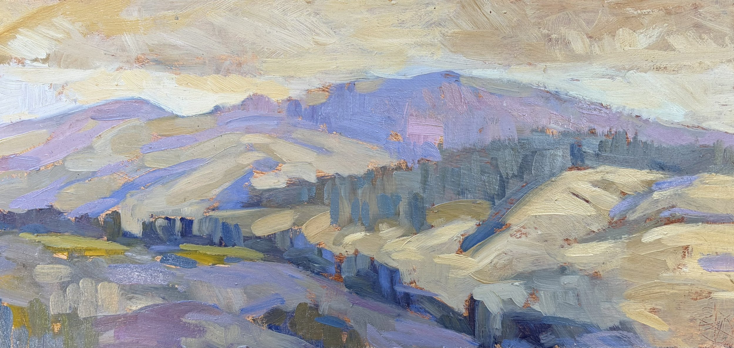  South East Ranges - Rancho Arbolado, #9  Oil on board, 7x14 inches unframed, 11x18 inches framed, $1,400.00 