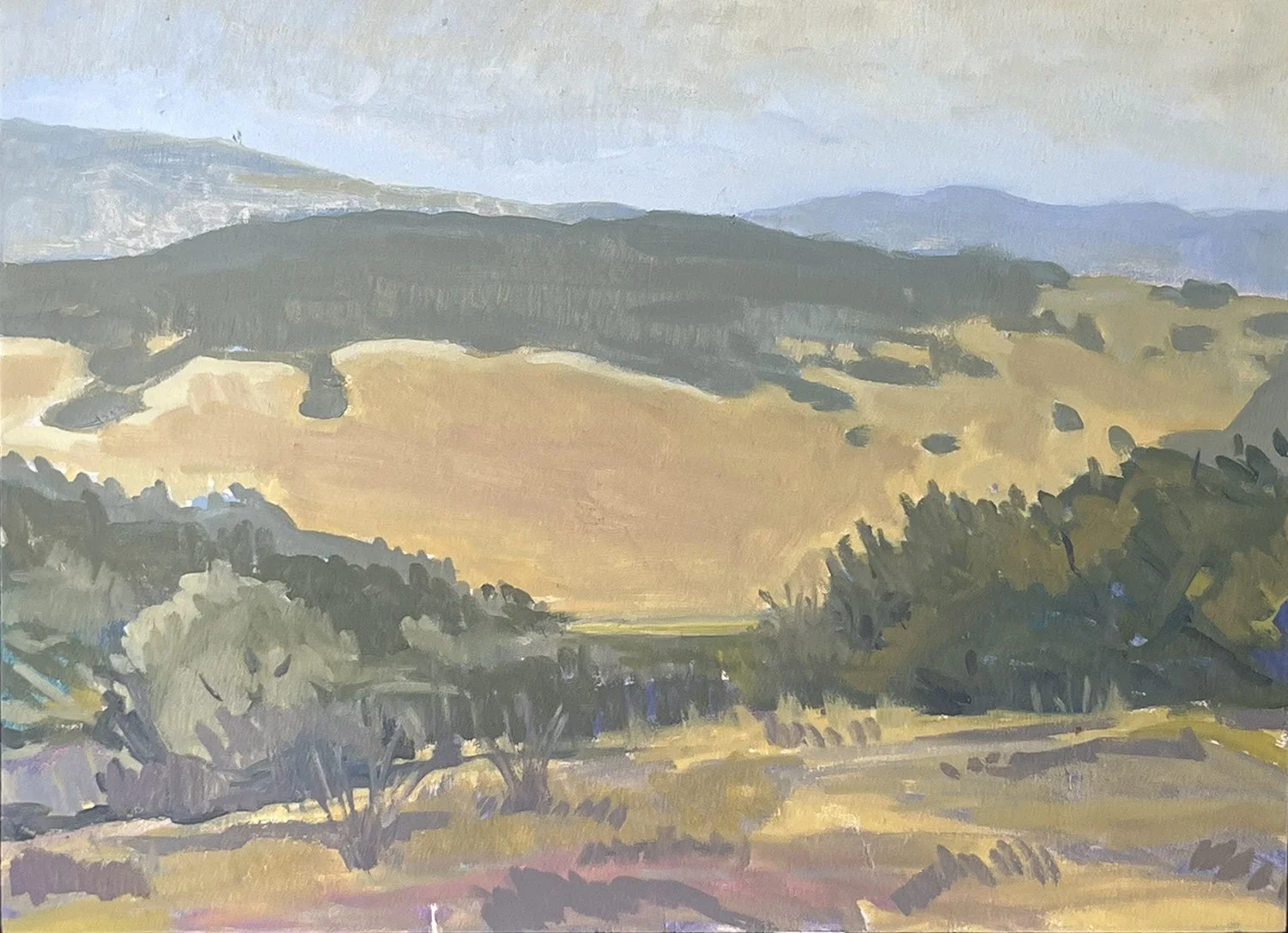  Edge Effects - Rancho Arbolado, #5  Oil on board, 14x18 inches unframed, 16x20 inches framed, $1,250.00 