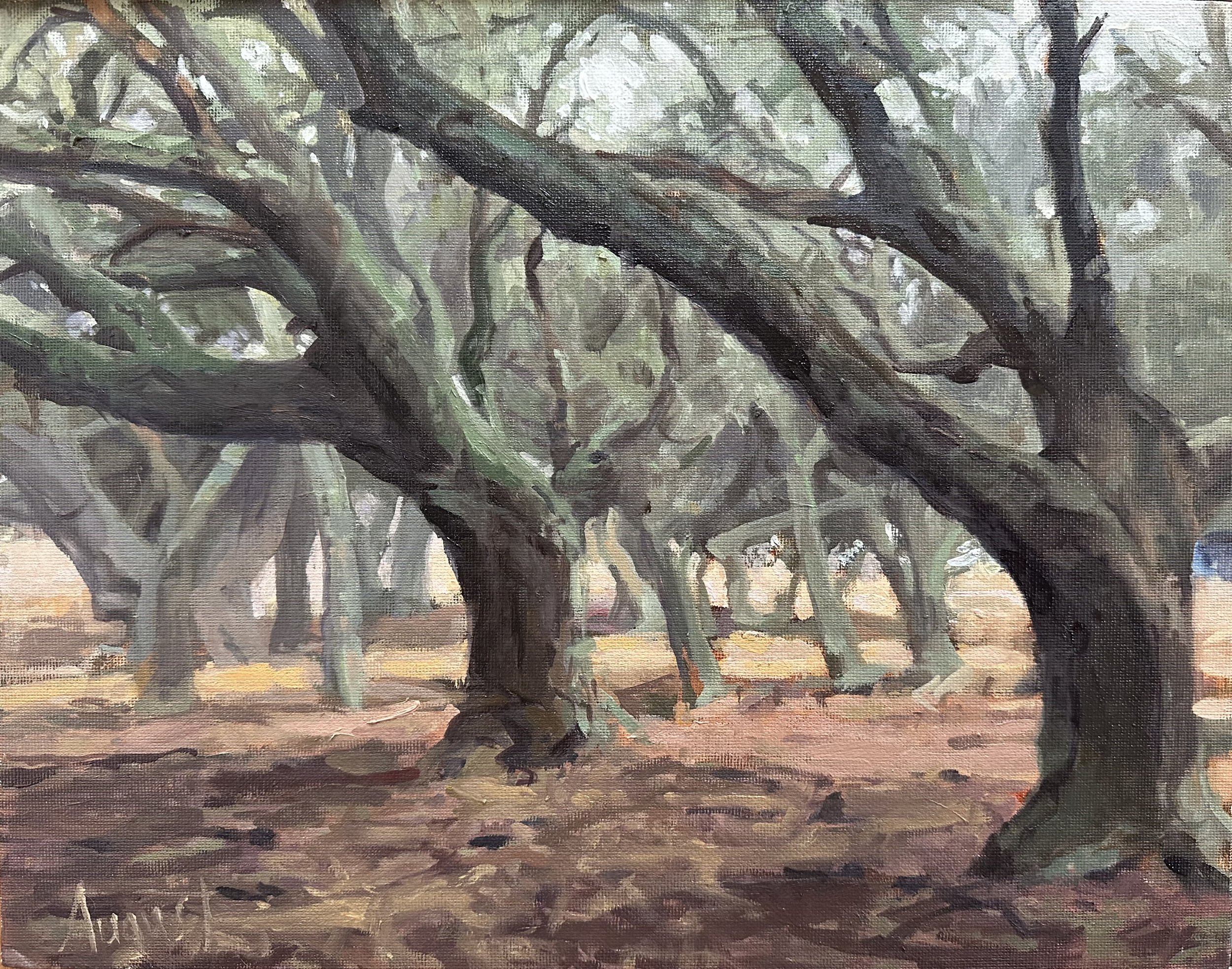  Rancho Arbolado Morning Fog, #11  Oil on linen board, 11x14 inches unframed, 13x16 inches framed, $850.00 