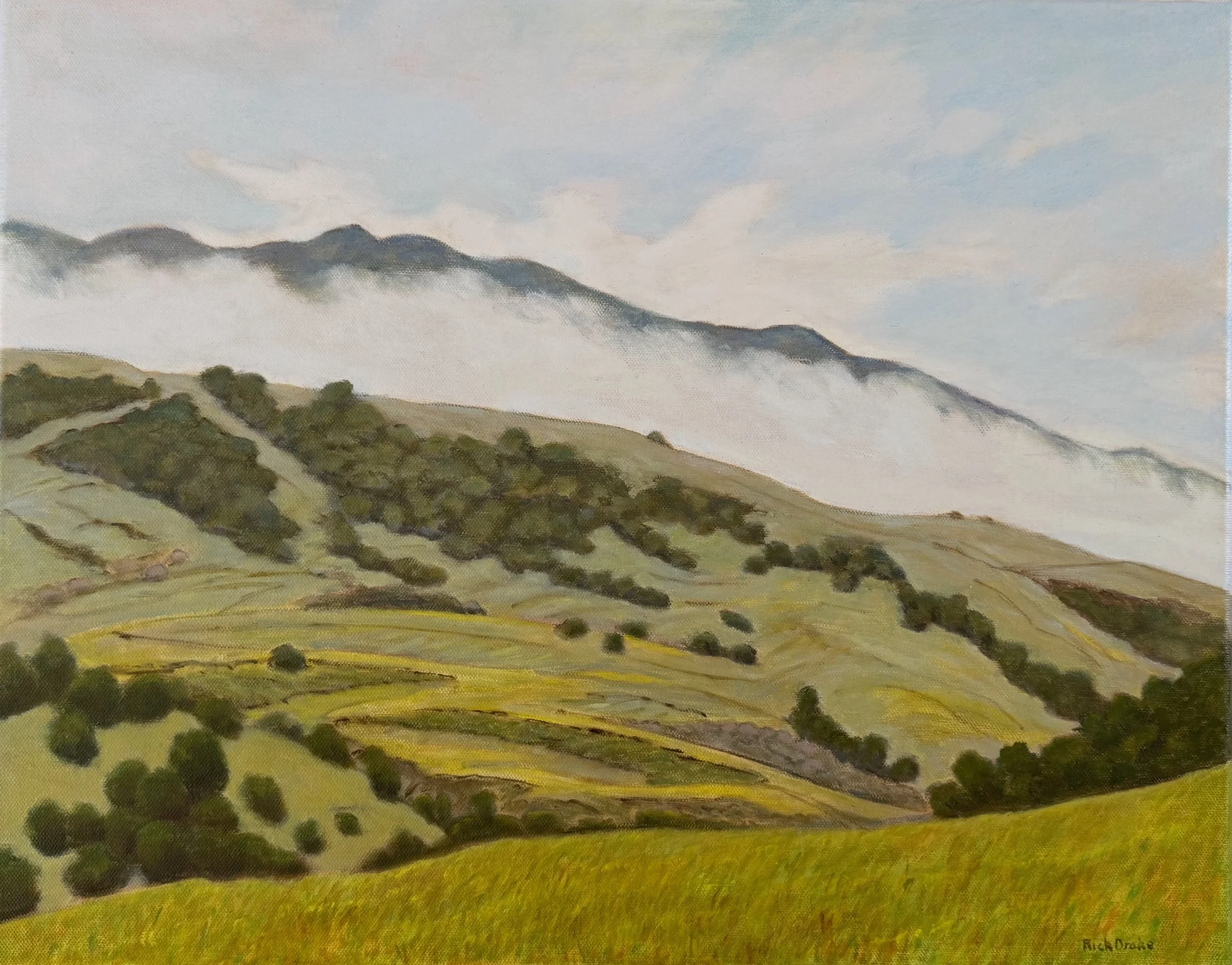  Foggy Morning at Hanson Ranch, #27  Oil on canvas, 16x20 inches unframed, 17x21 inches framed, $1,400.00 