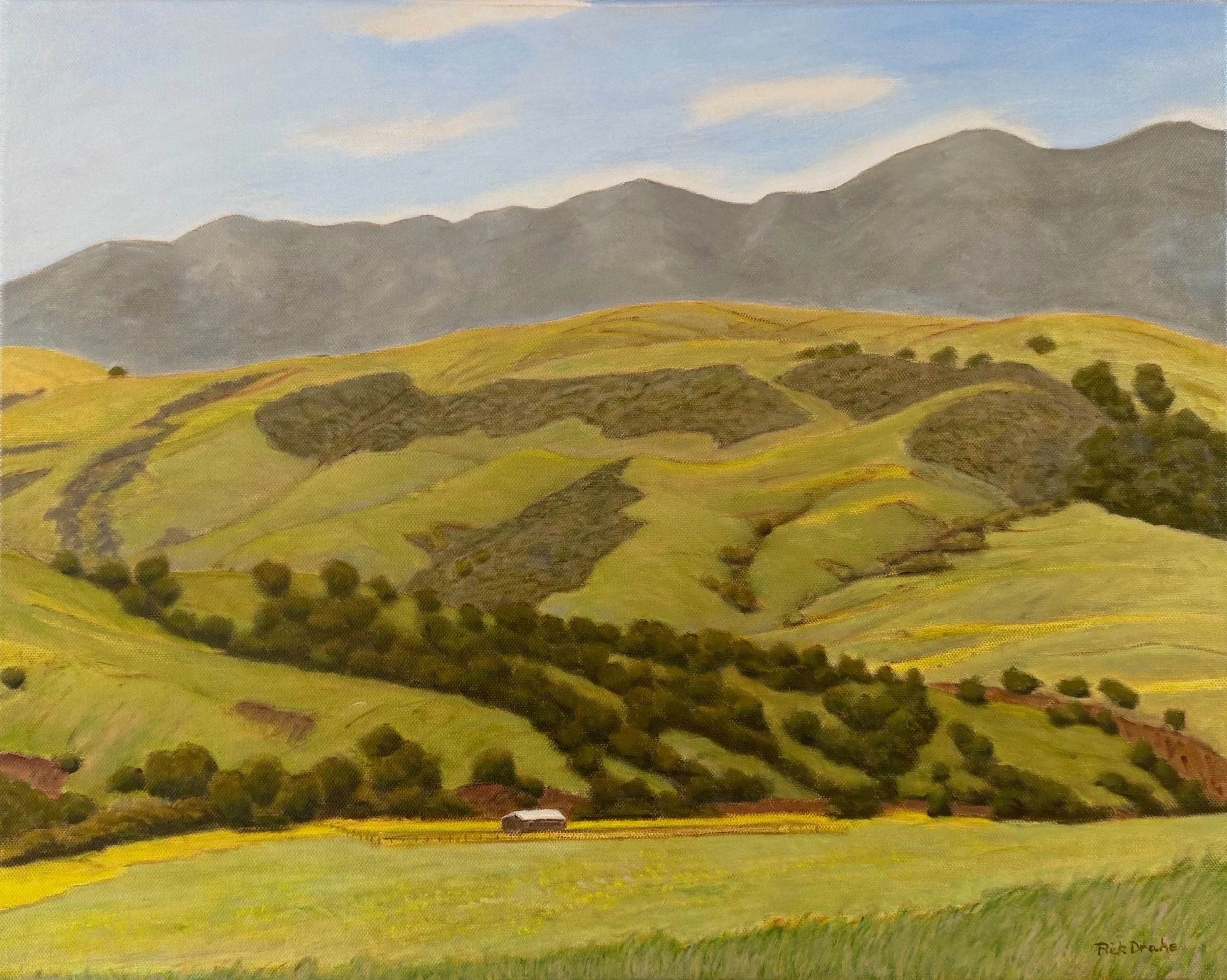  Spring Morning at Hanson Ranch, #26  Oil on canvas, 16x20 inches unframed, 17x21 inches framed, $1,400.00 
