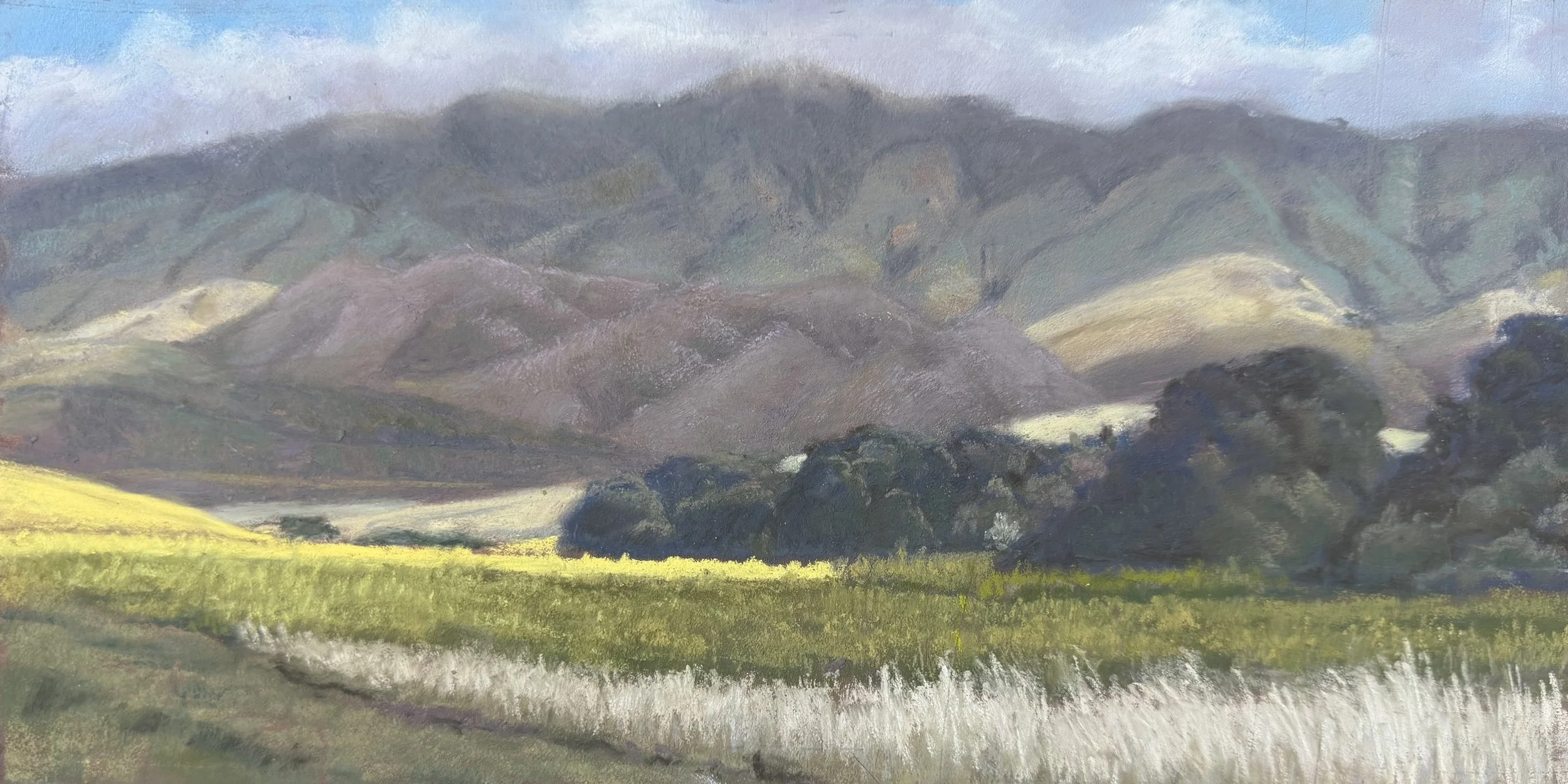  Mustard Highlight – Hanson Ranch, #35  Pastel, 6x12 inches unframed, 10x16 inches framed, $400.00 