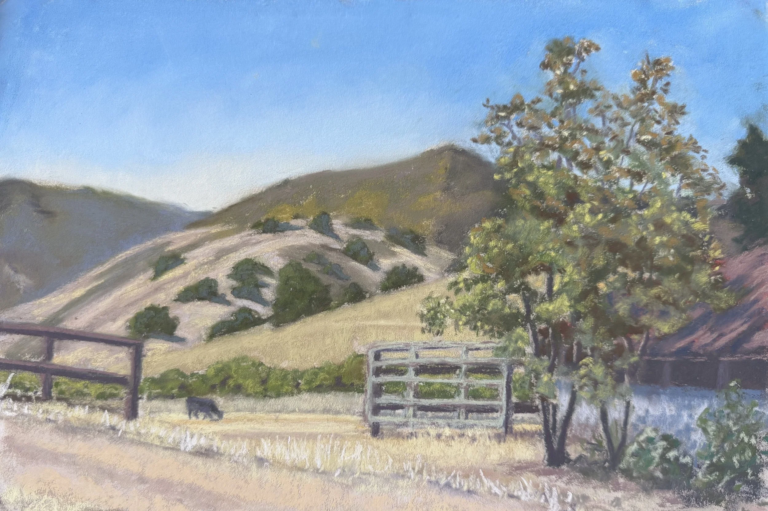  Open Gate – San Lorenzo Ranch, #34  Pastel, 8x12 inches unframed, 12x16 inches framed, $475.00 