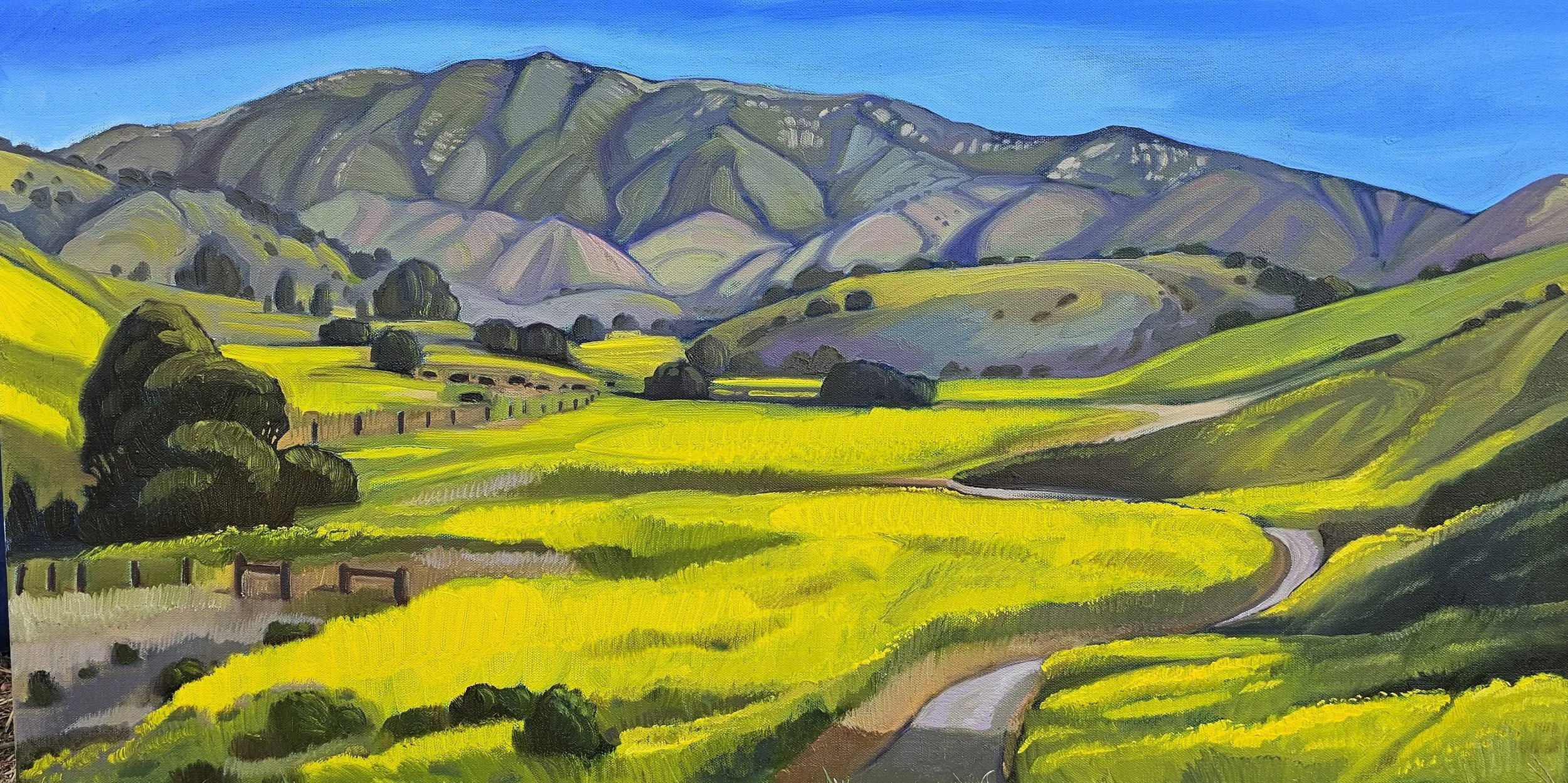  Glorious Gaviota - &nbsp;Hansen Ranch, #44  Oil on canvas, 18x36 inches unframed, 18x36 inches framed, $2,700.00 