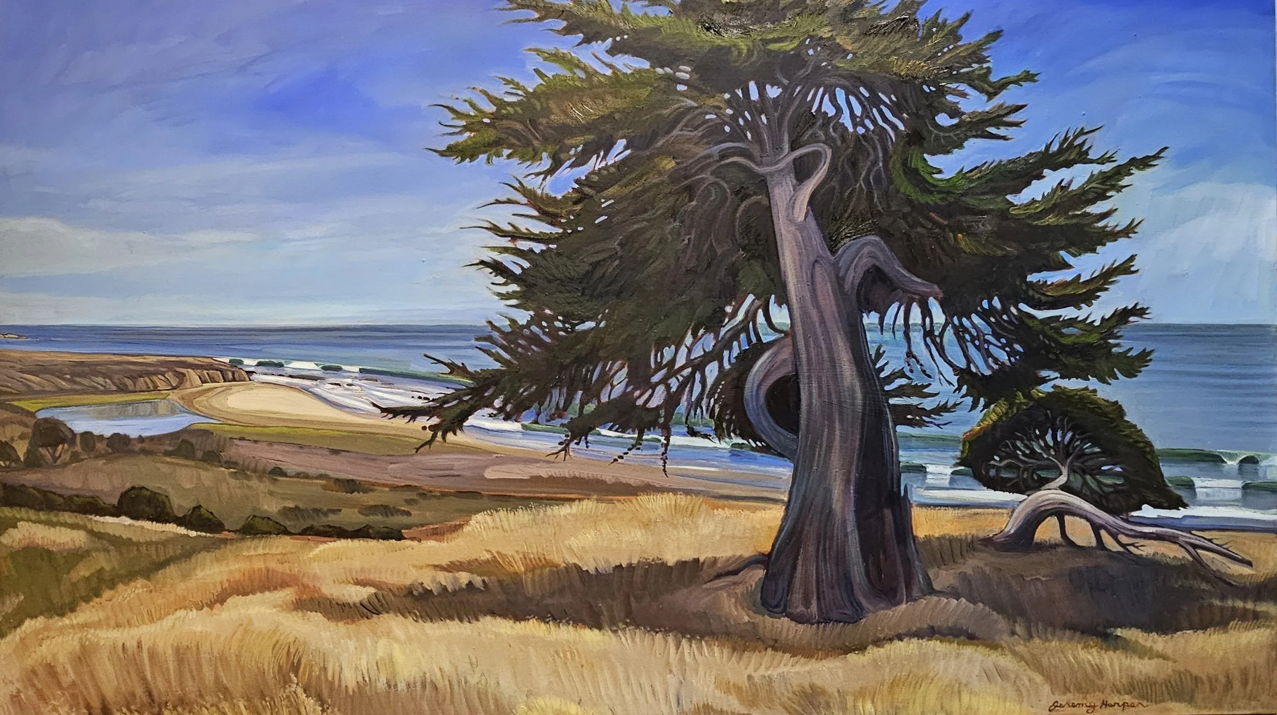  Central Coast Native - Hearst Ranch, #45  Oil on canvas, 36x60 inches unframed, 36x60 inches framed, $6,500.00 