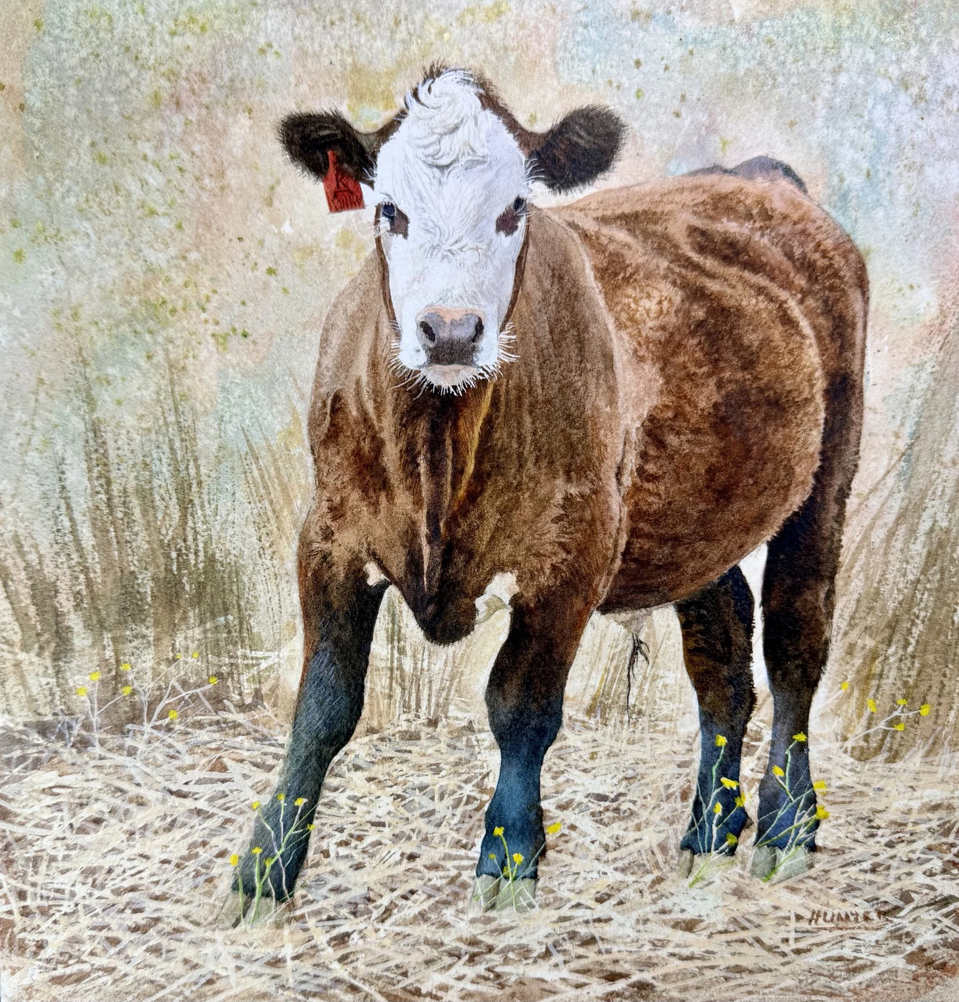  Standing My Ground - San Lorenzo, #59  Watercolor, 10x10 inches unframed, 16x16 inches framed, $1,000.00 