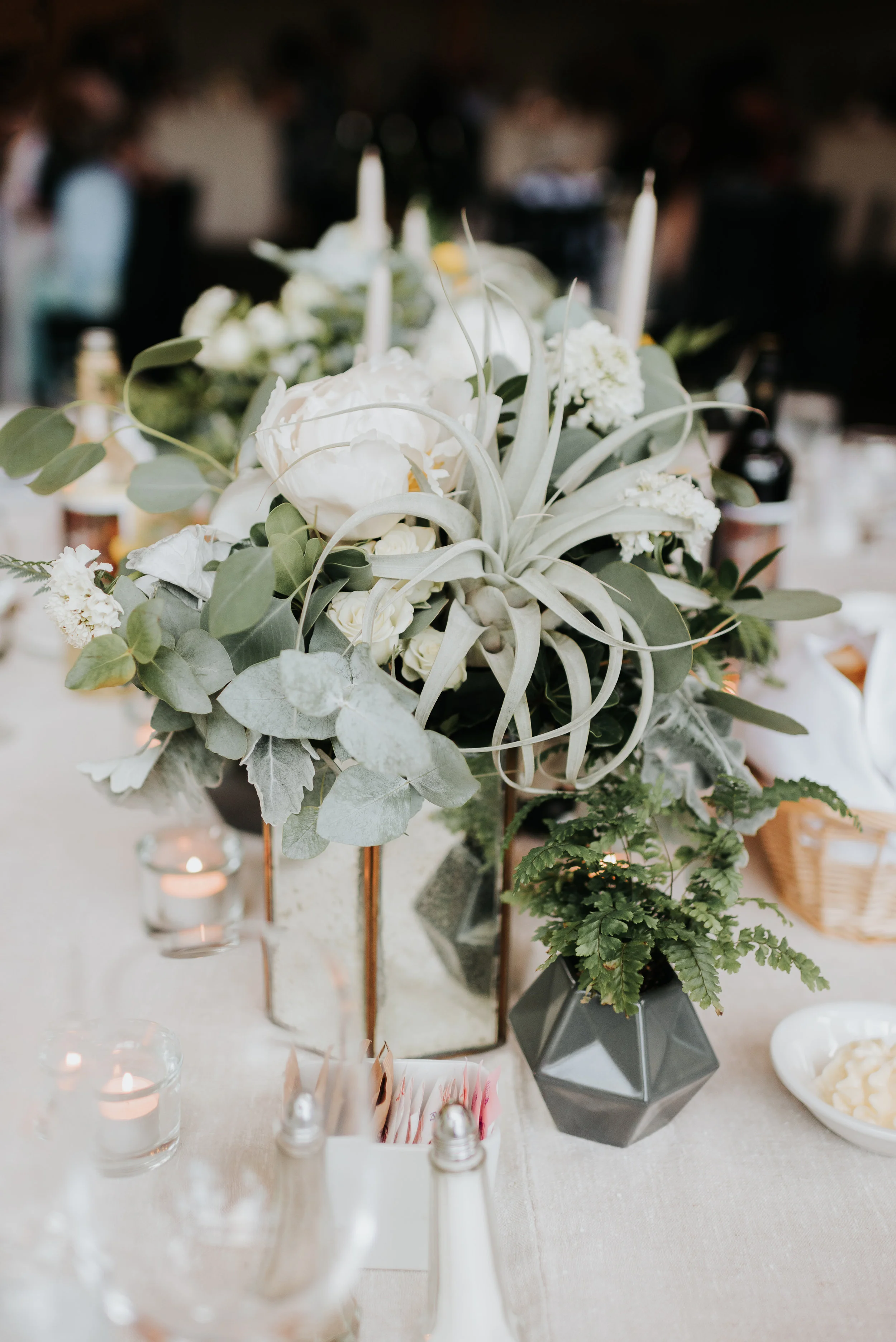 Amanda-Robin-Wedding-548.jpg