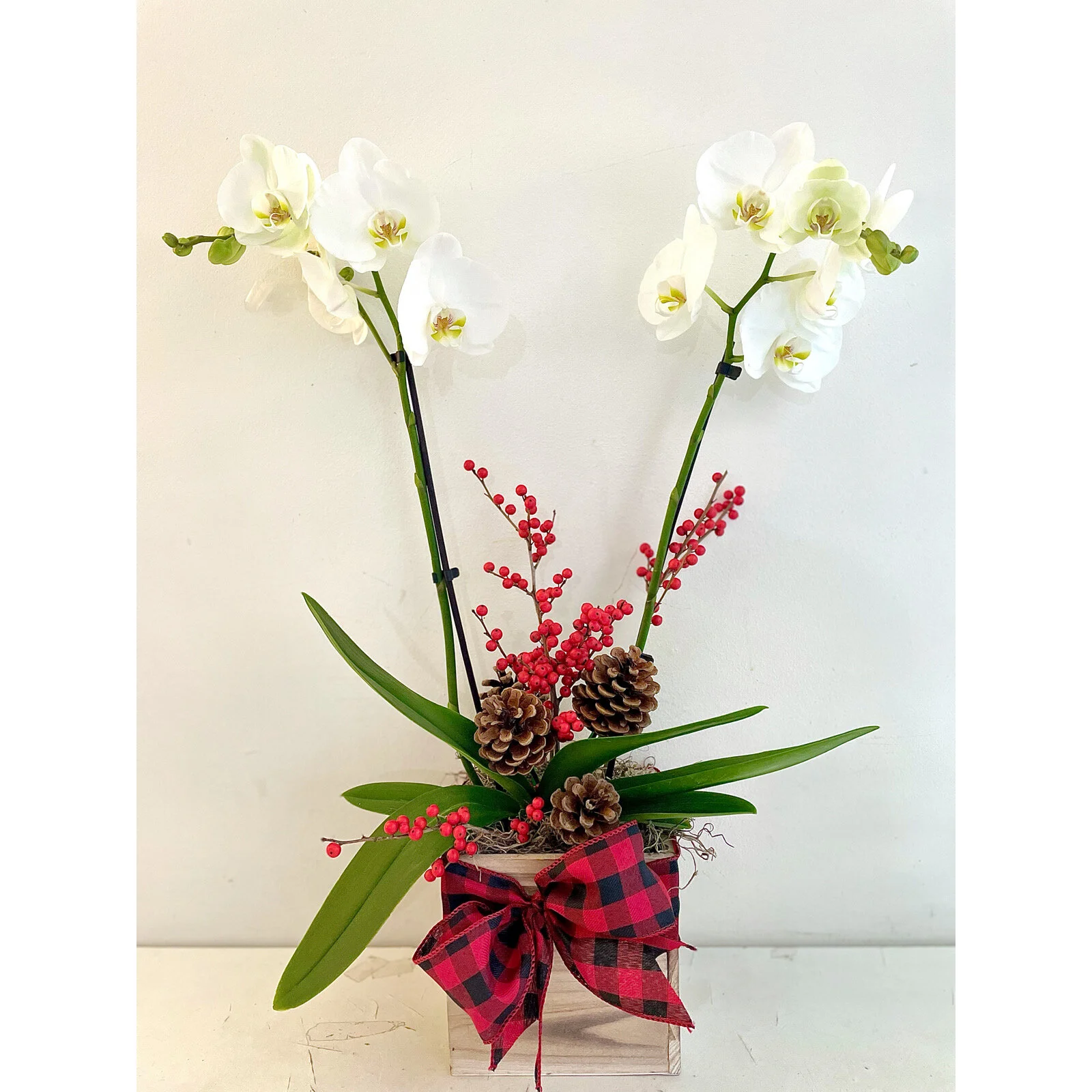 243A125A-77ED-4560-8492-6ED22AB842BE