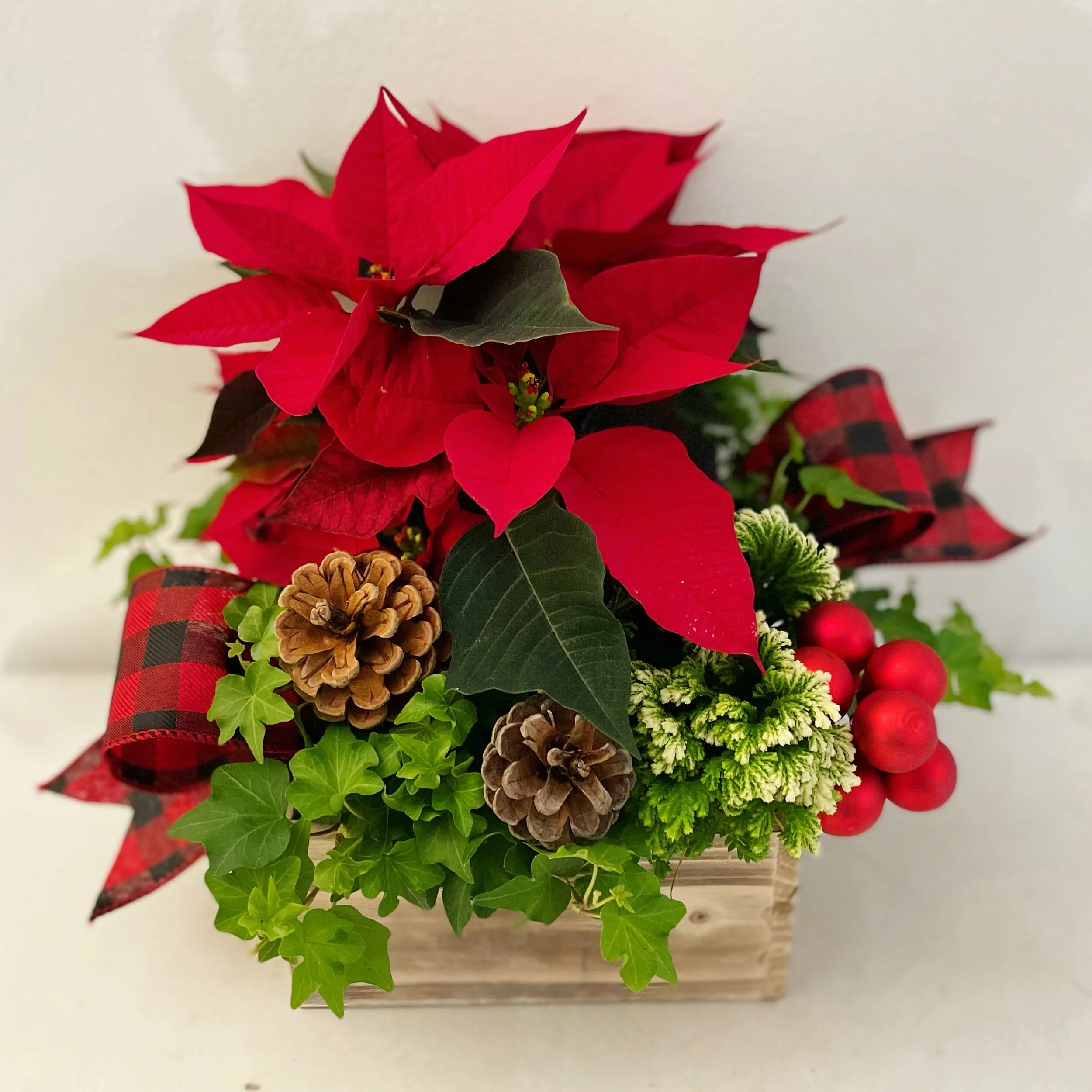 4C8A0F9E-495F-44F6-8C6B-FBF724DF3FE3