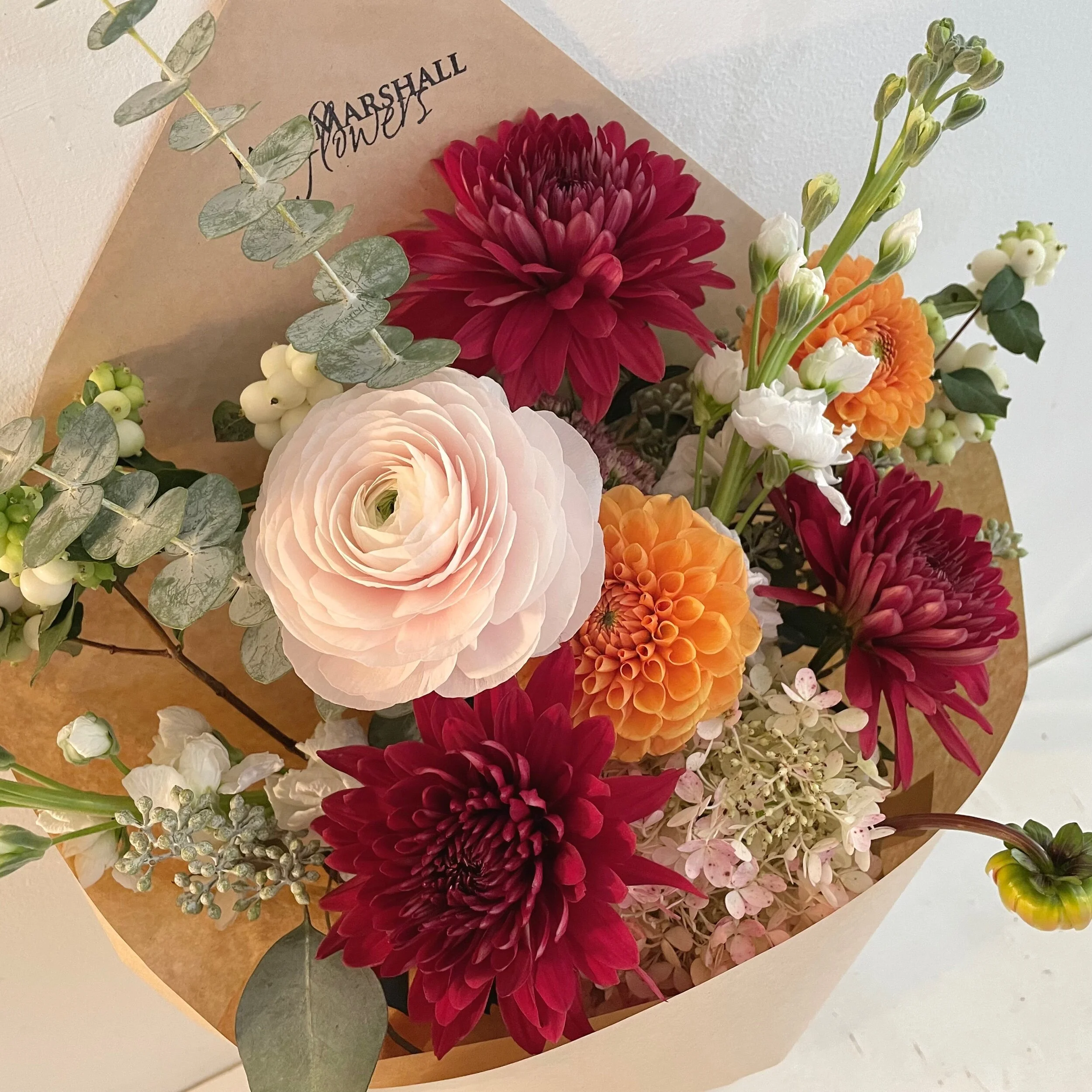 339A447E-B8F7-4F60-969A-09A3B79E2570