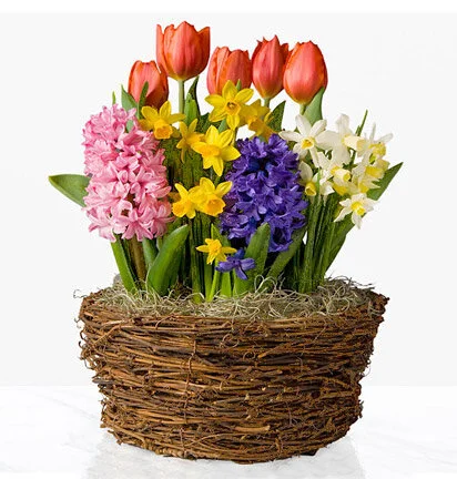 C89B19B5-B43B-4EFB-B2DB-56189A5E188F