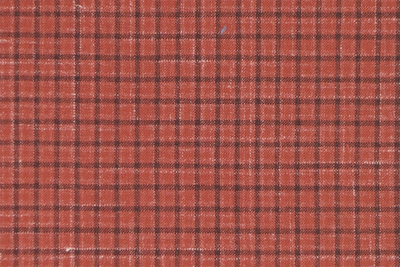 TD 4711 SALMON CHECK