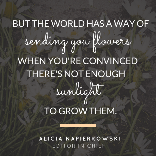 but-the-world-has-a-way-of-sending-you-flowers-when-youre-convinced-theres-not-enough-sunlight-to-grow-them..png
