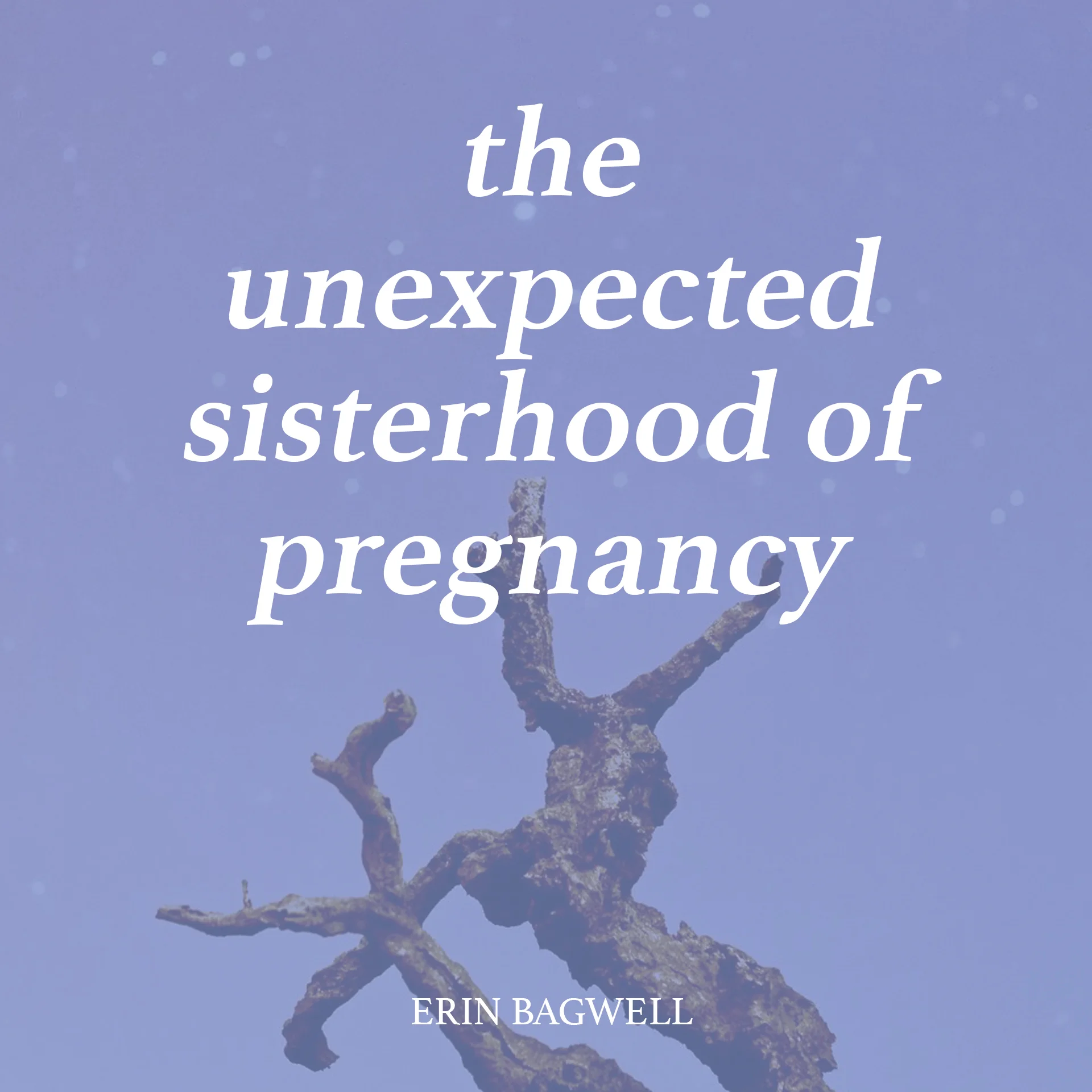 Sisterhood.jpg