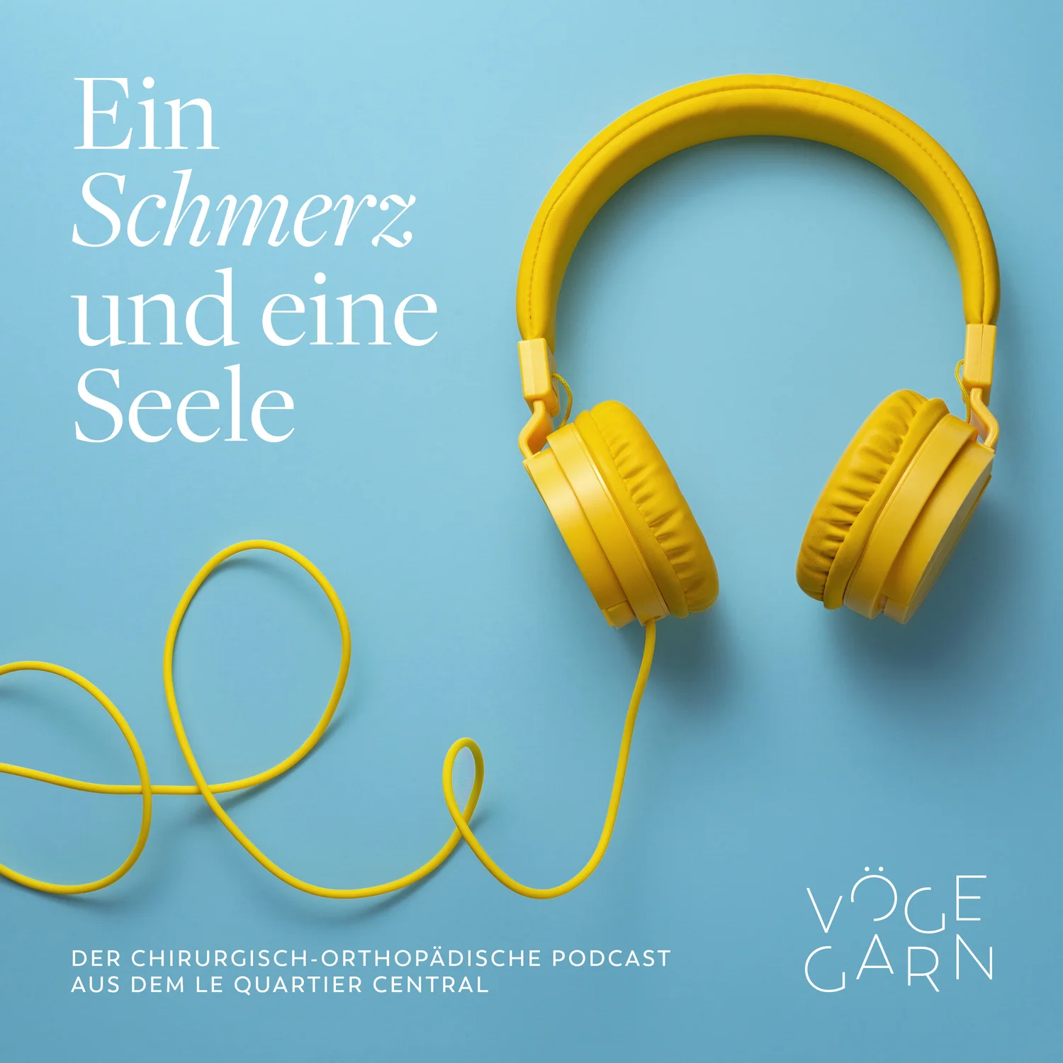 Ein Schmerz und eine Seele artwork