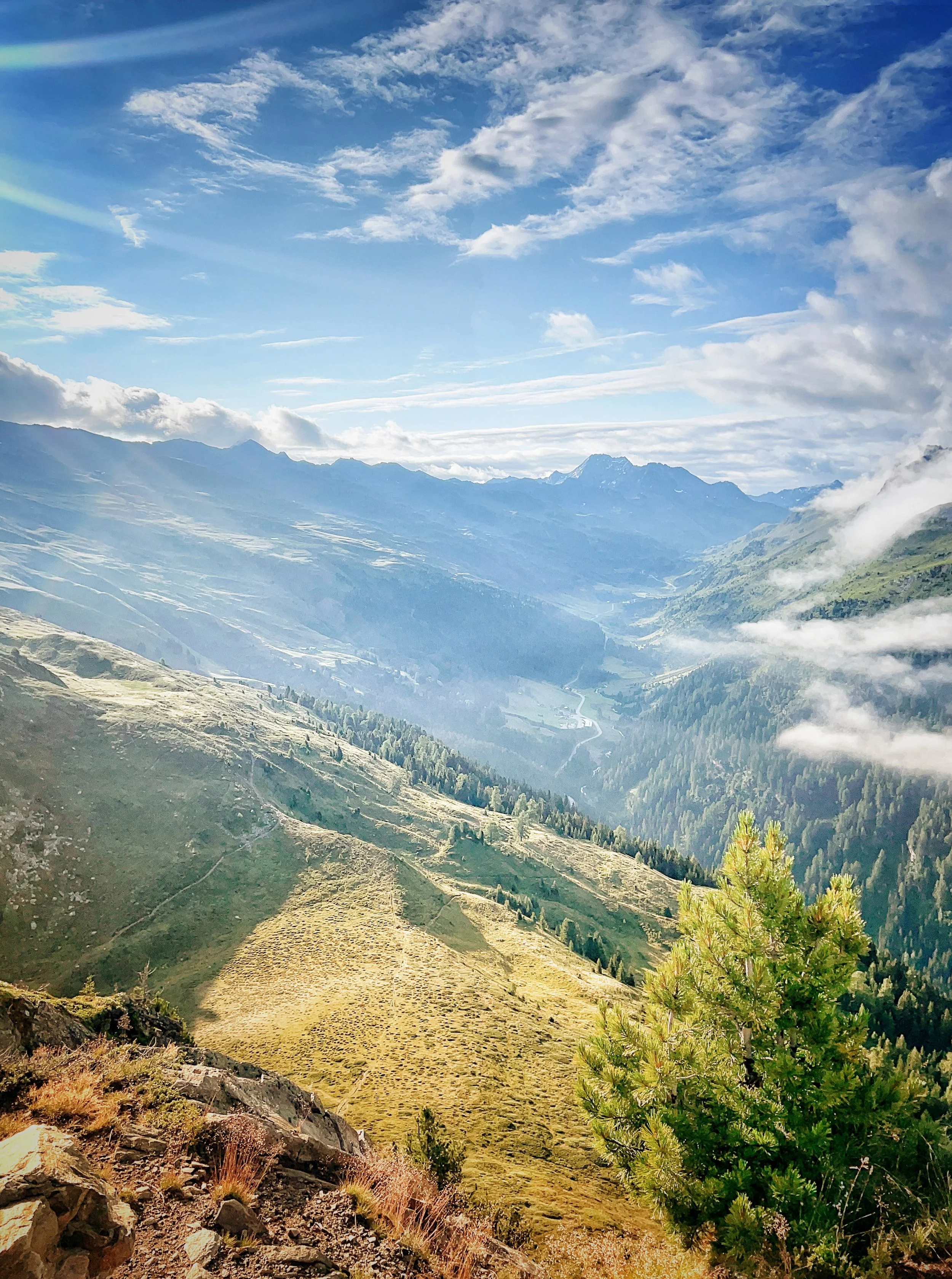 Neue Fotografien in unserer Praxis