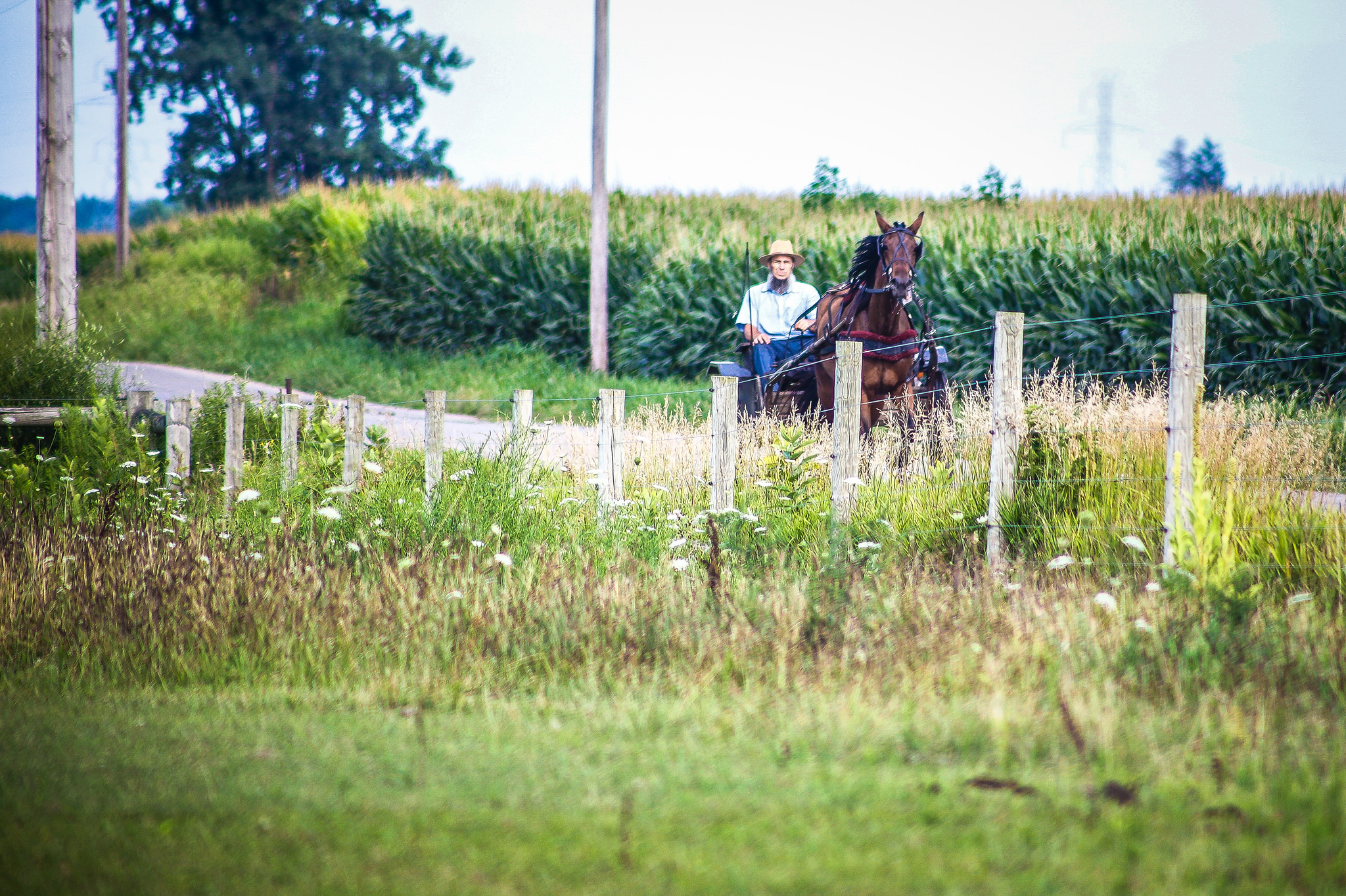 Amish Country