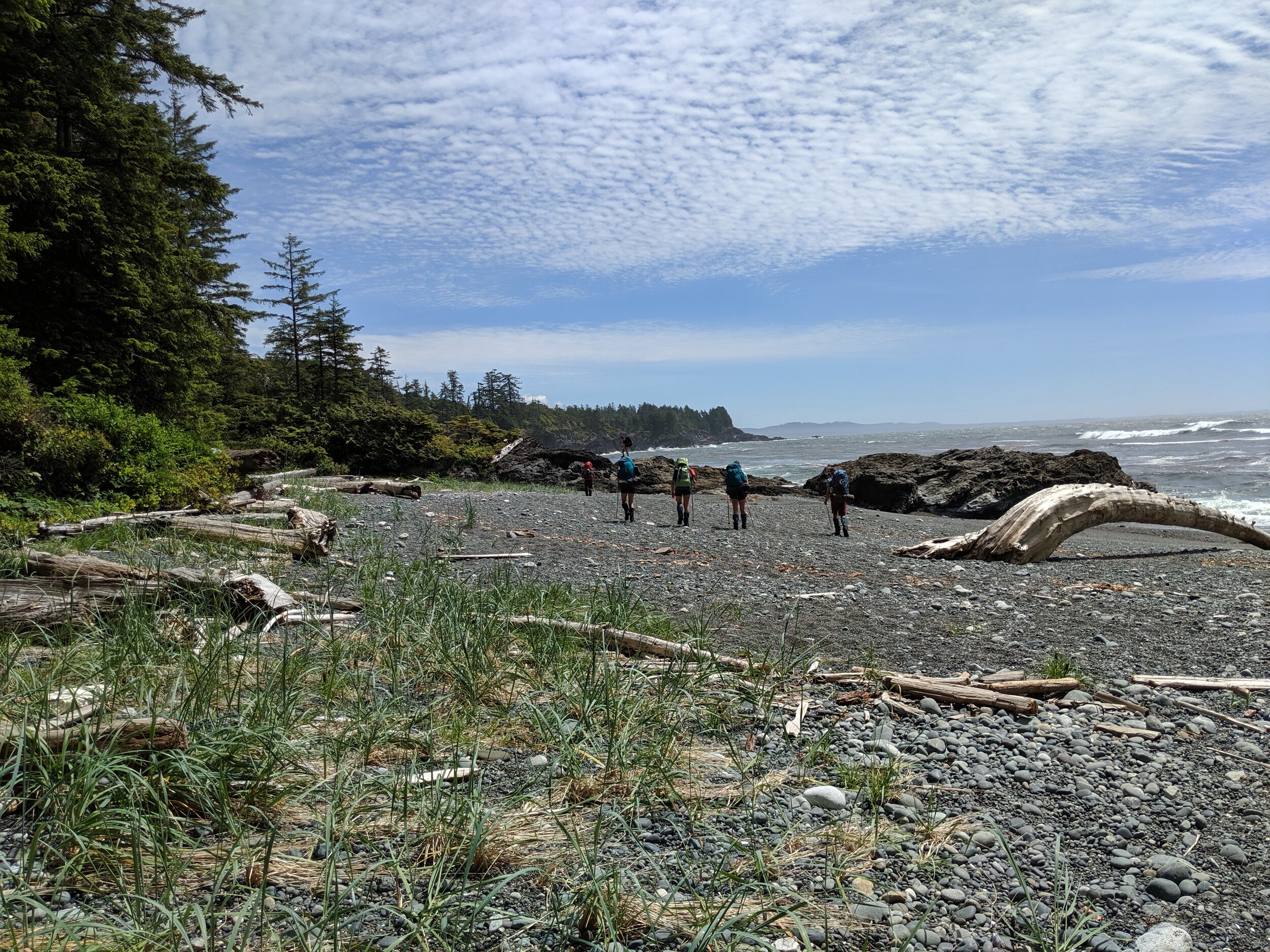 IMG_20190618_132307.jpg