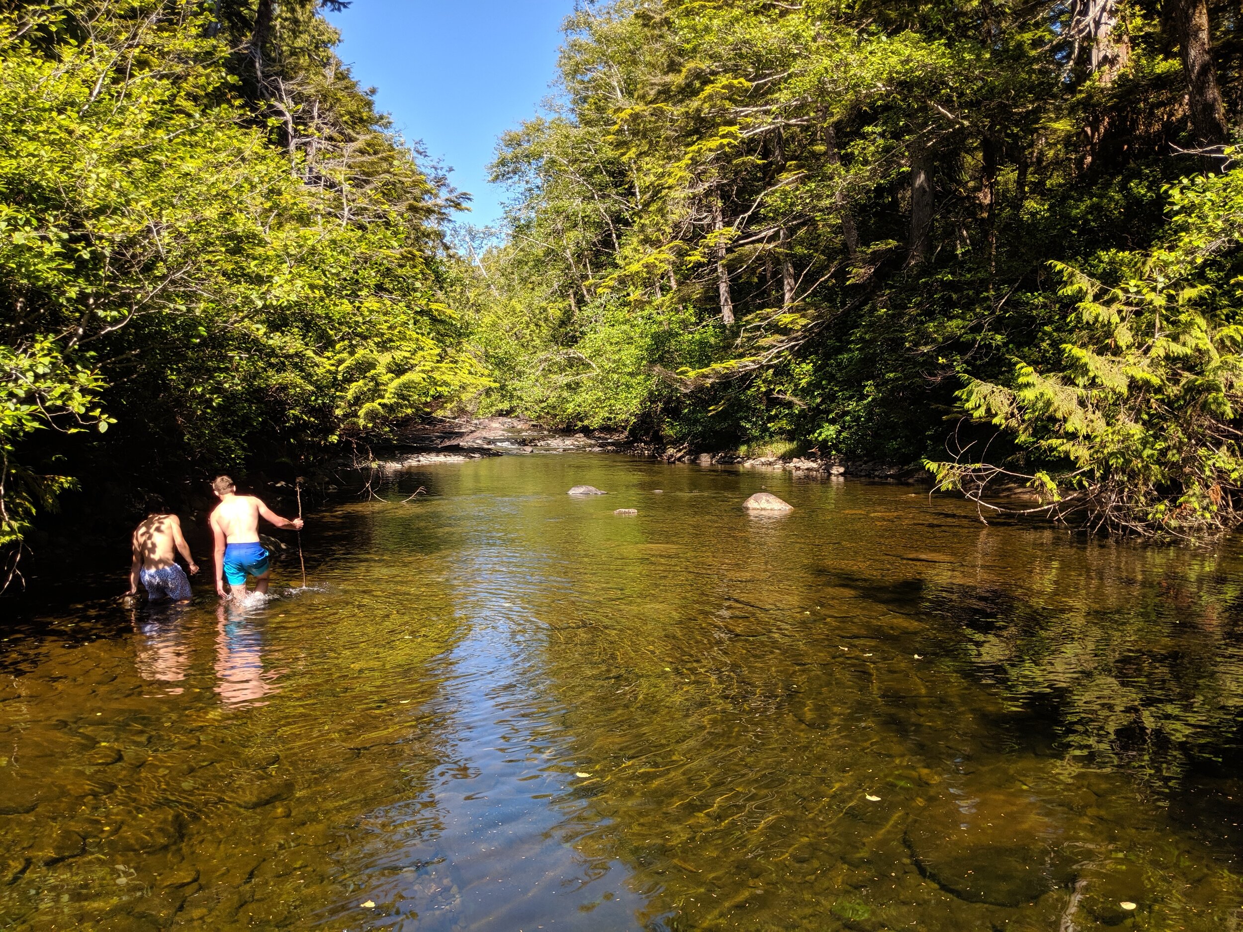 MVIMG_20190615_161233.jpg