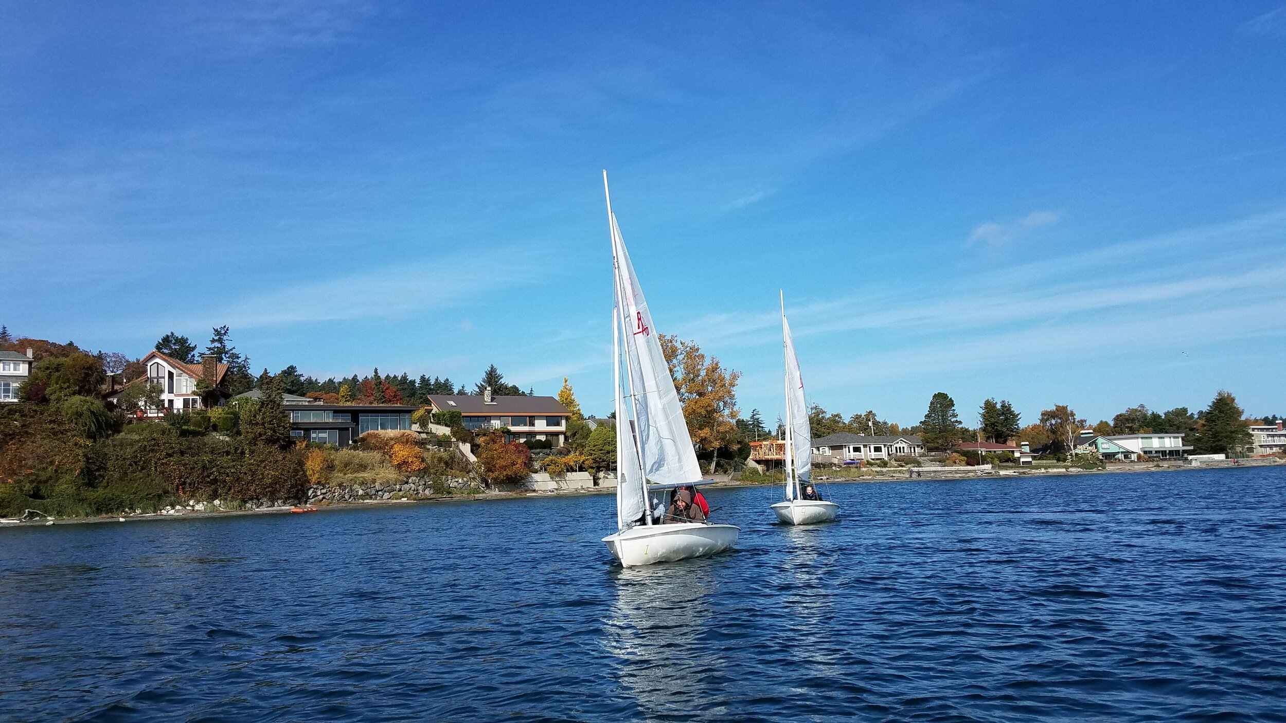 20191022_123729 (1).jpg