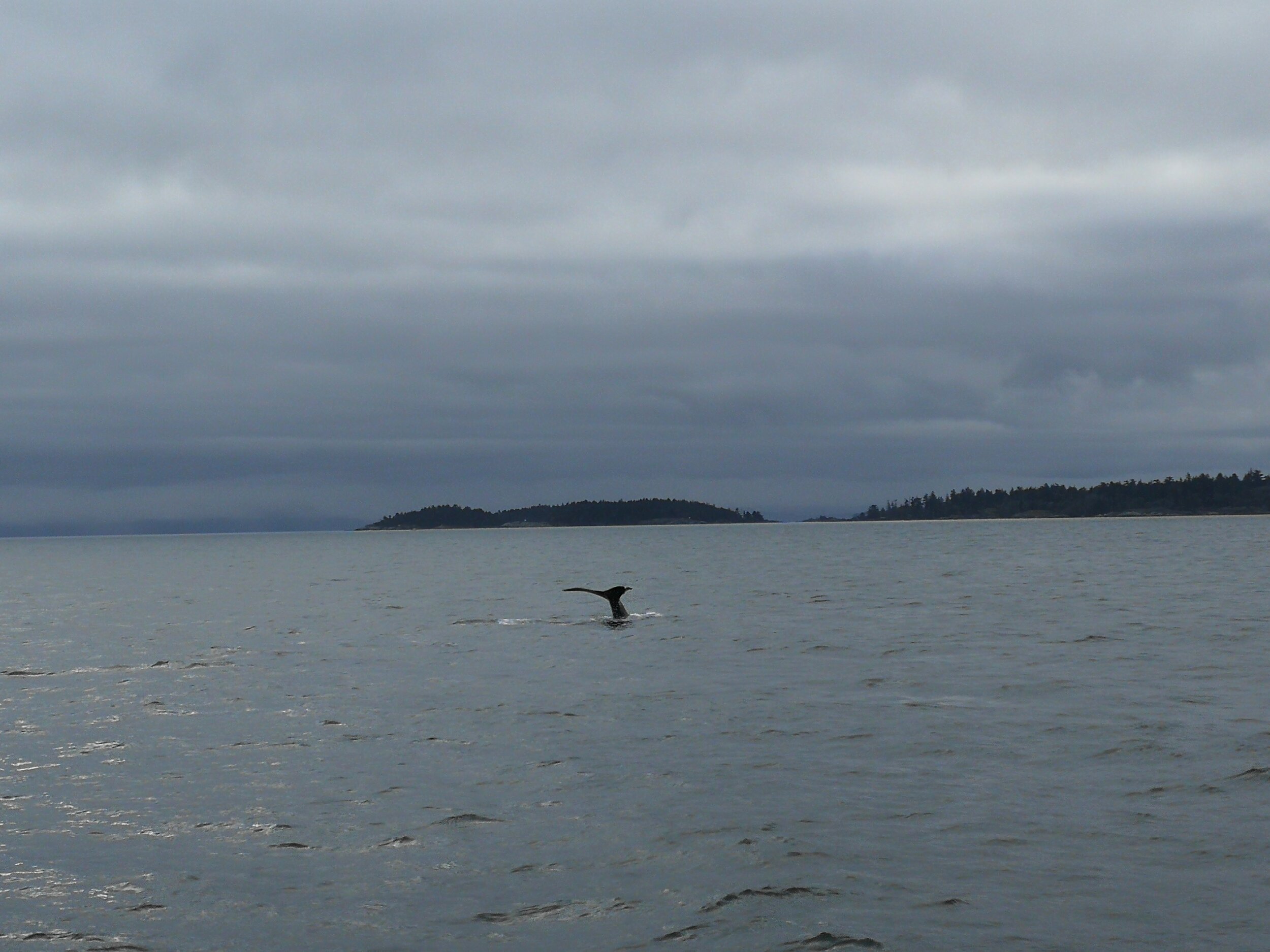 IMG_20200128_133700.jpg