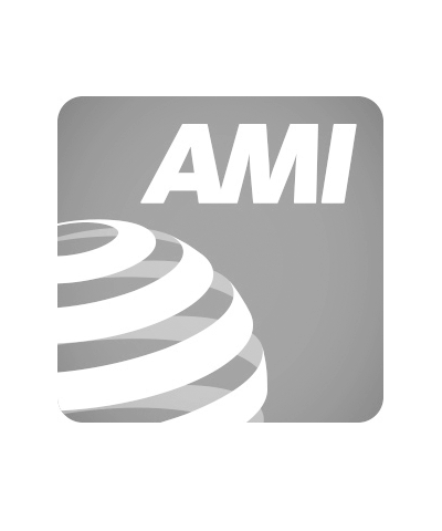 AMI-listing-400x480-1015696925.png