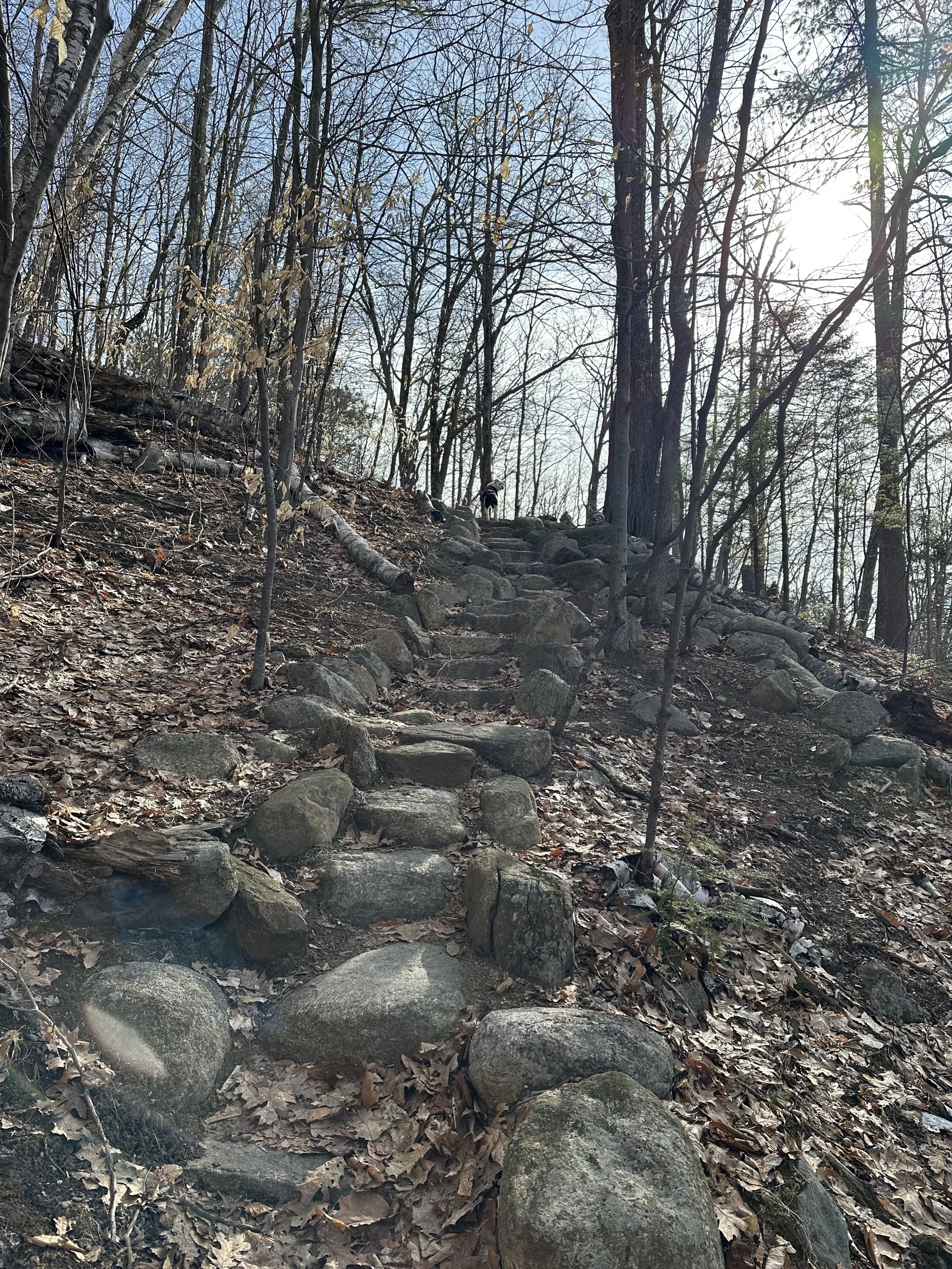 rocky staircase on wentworth trail