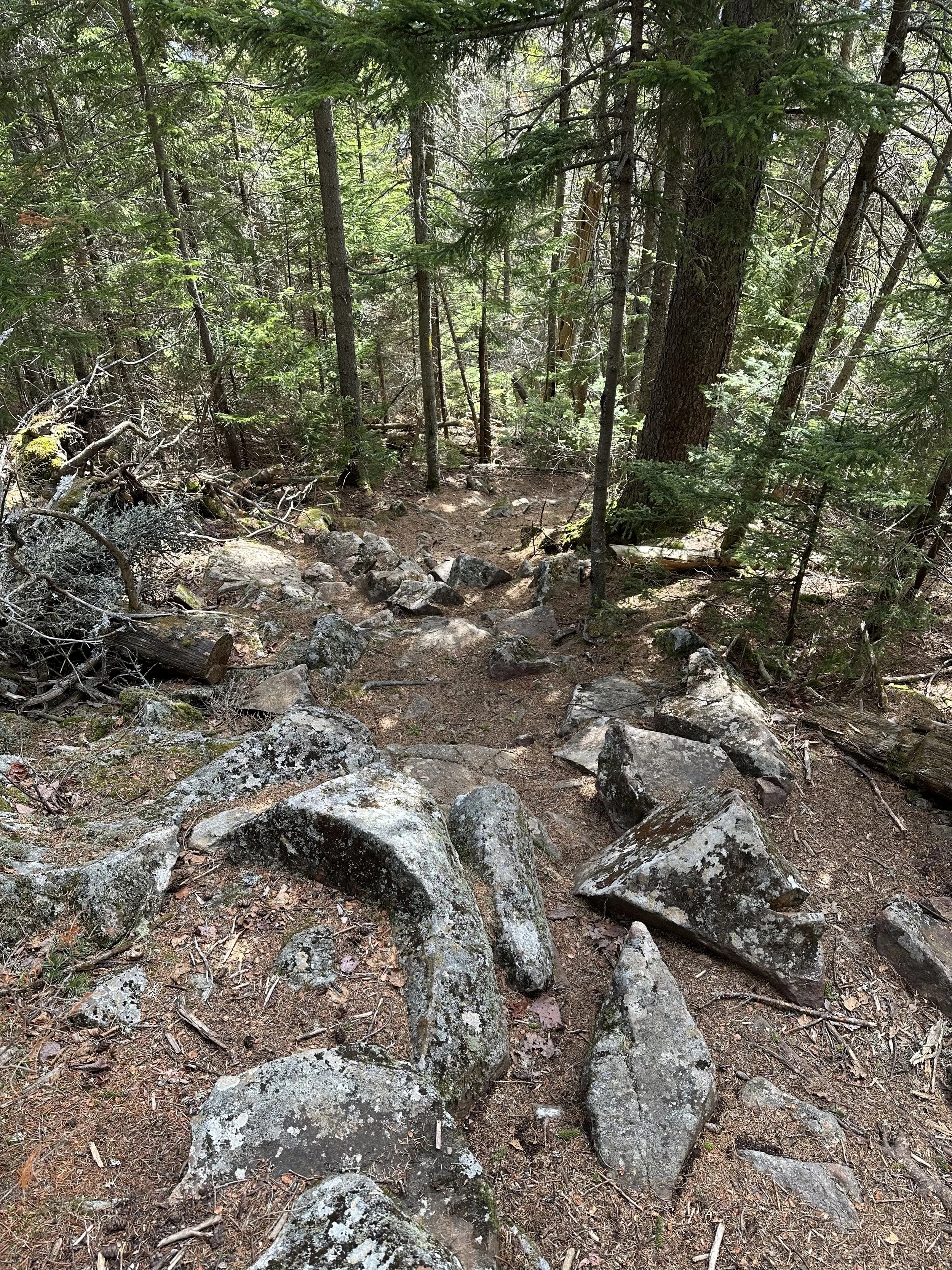steep section on iron mountain trail past the summit