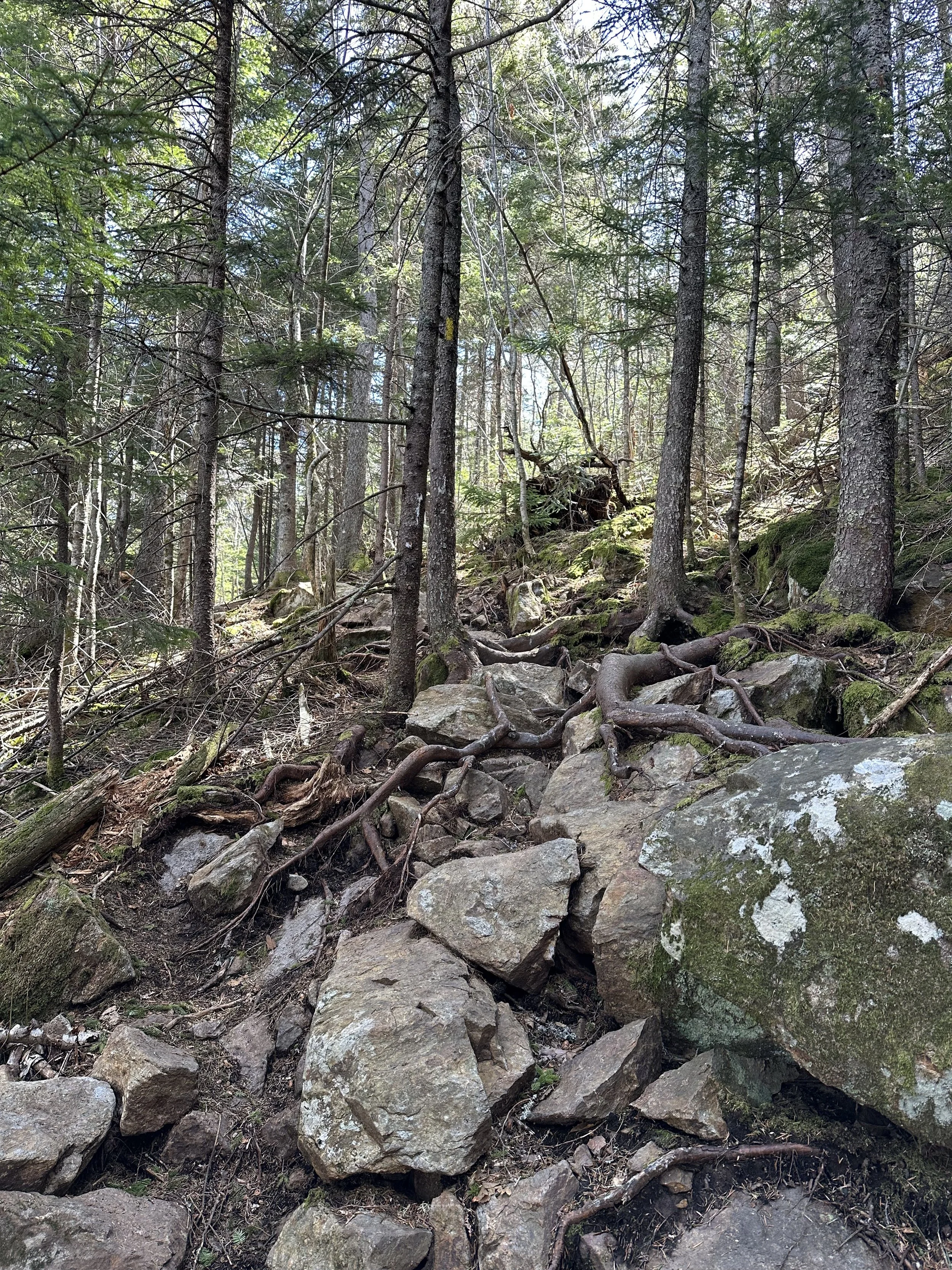 steep section on the iron mountain trail