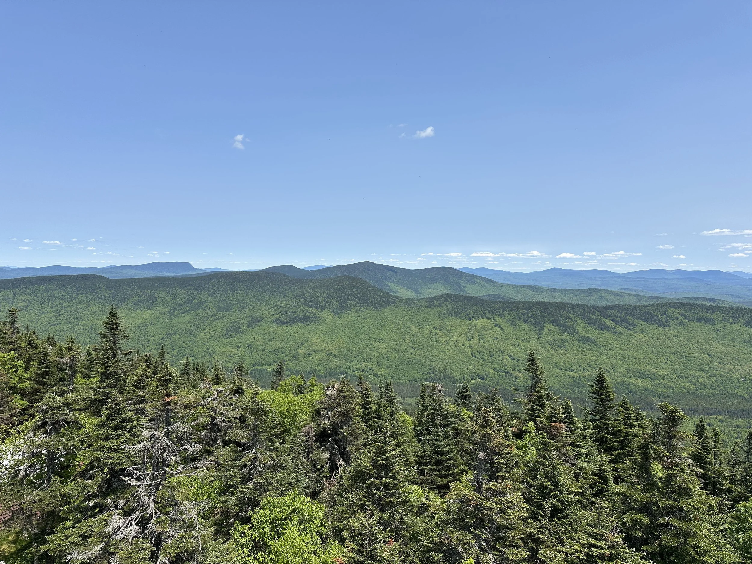 mountain views from Magalloway Mountain