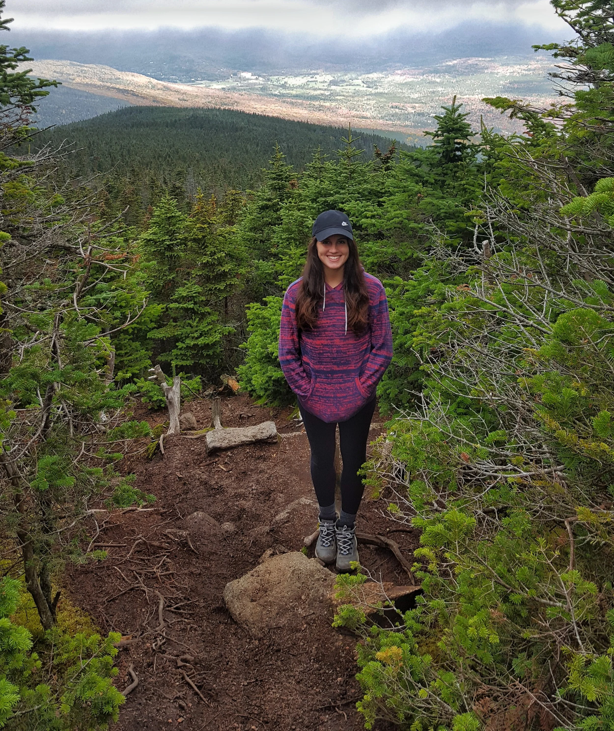 View from Mt. Field