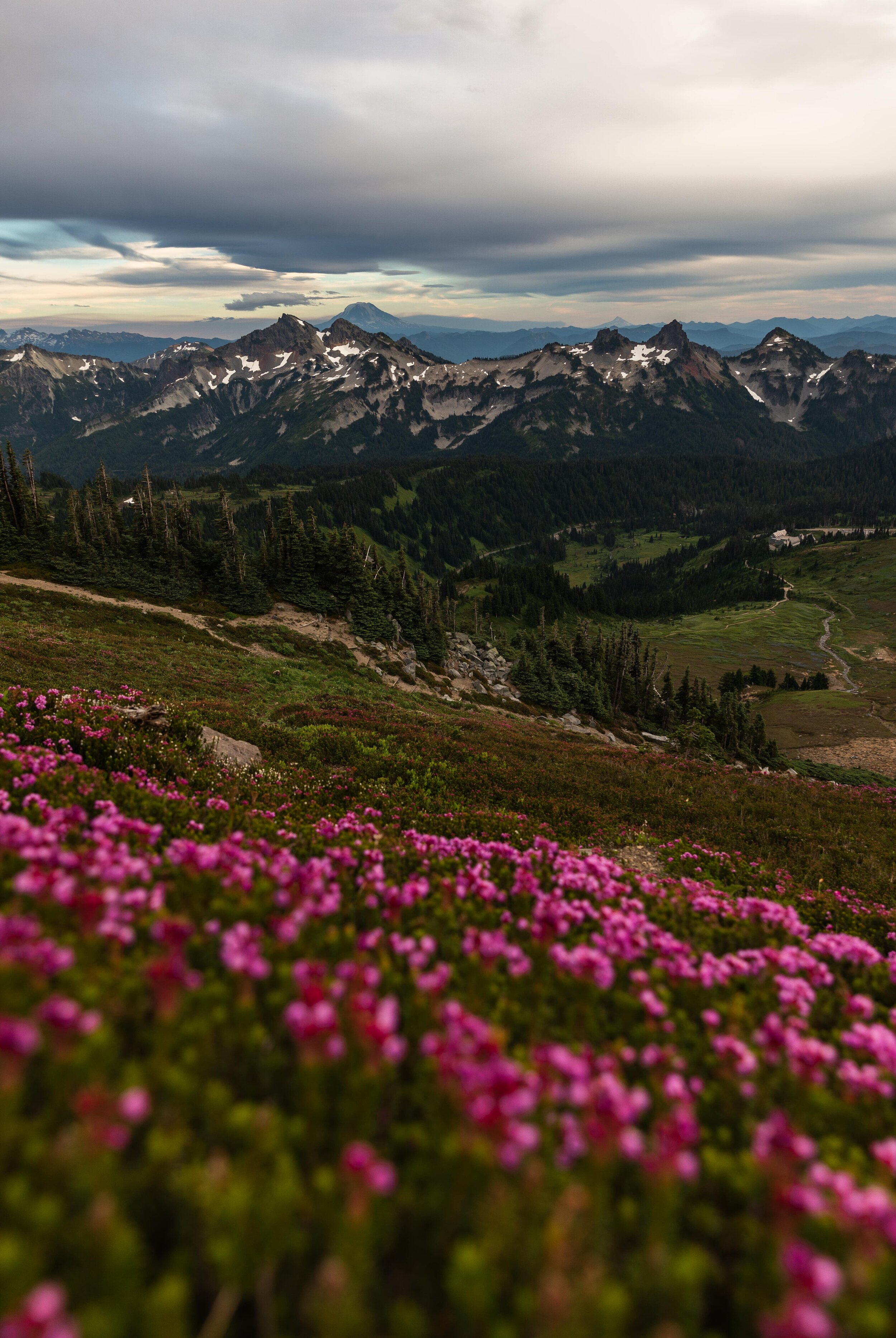 skyline trail - best hikes in washington