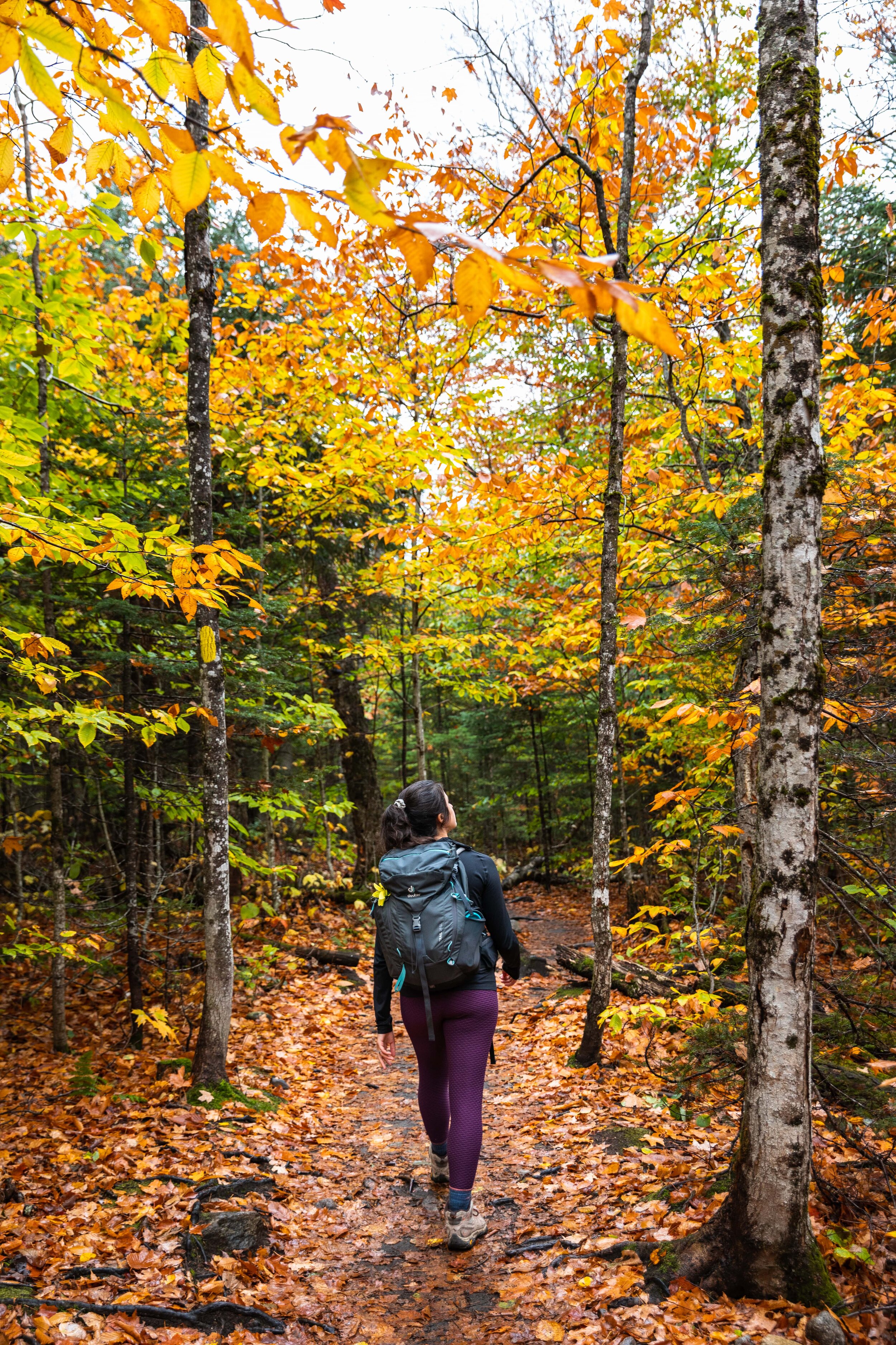 What to Wear Hiking in Fall — Nichole the Nomad