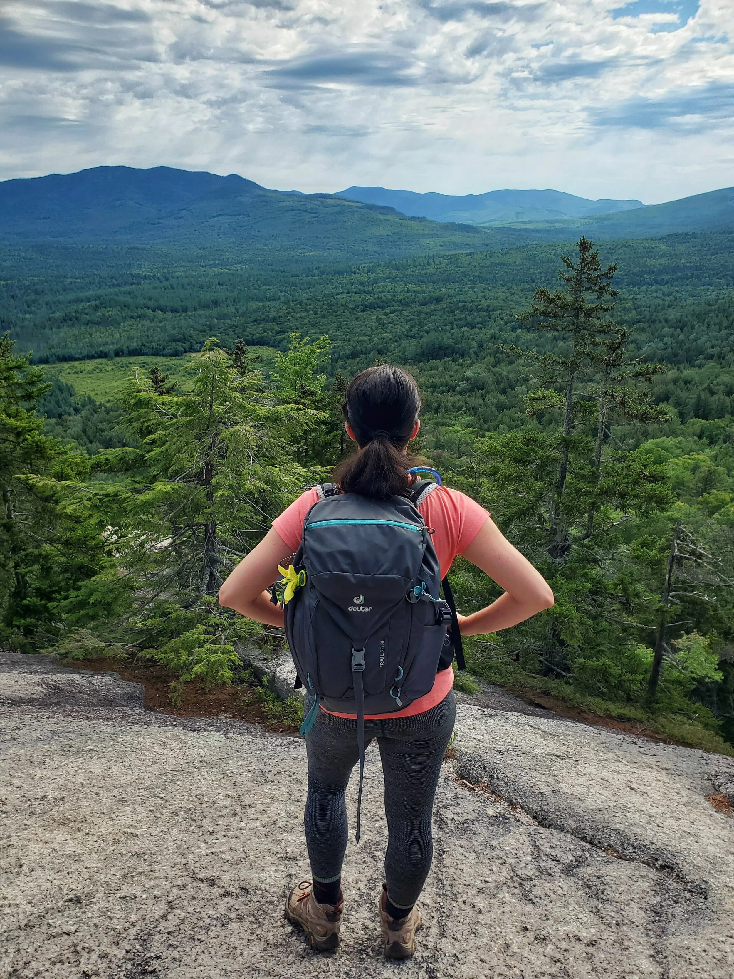 Hedgehog Mountain via UNH Trail
