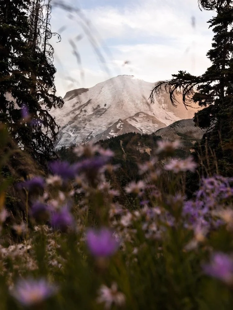 The 12 Best Mt Rainier Hikes For Beginners