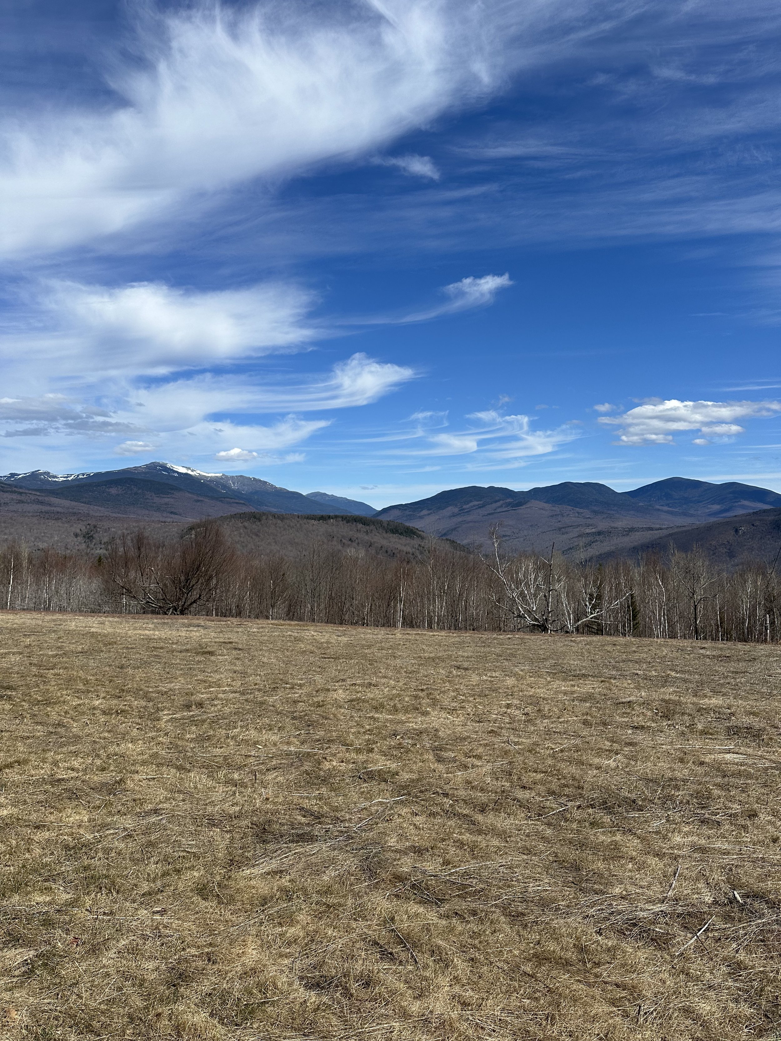 views at the beginning of iron mountain trail