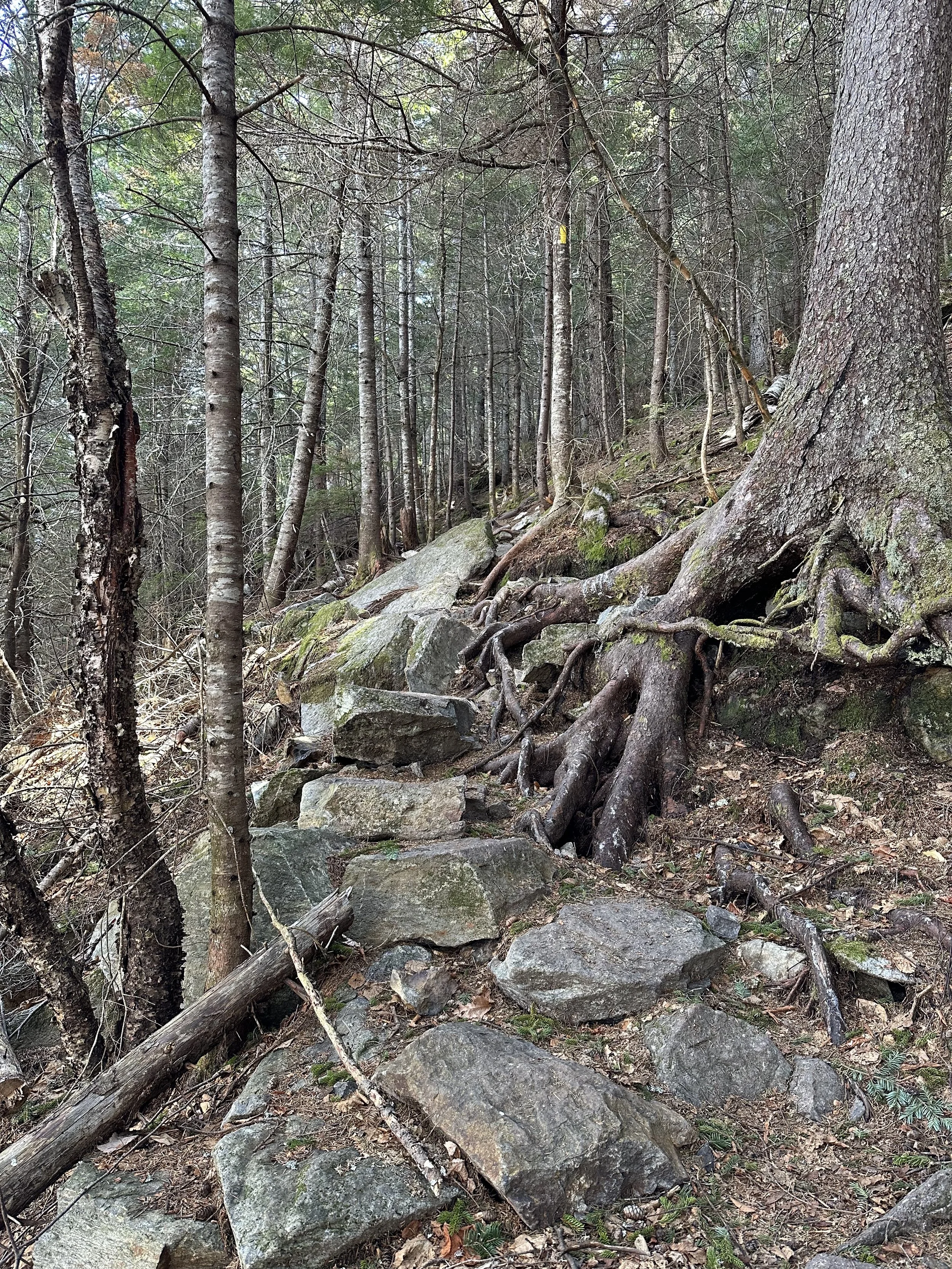 beginning of the iron mountain trail