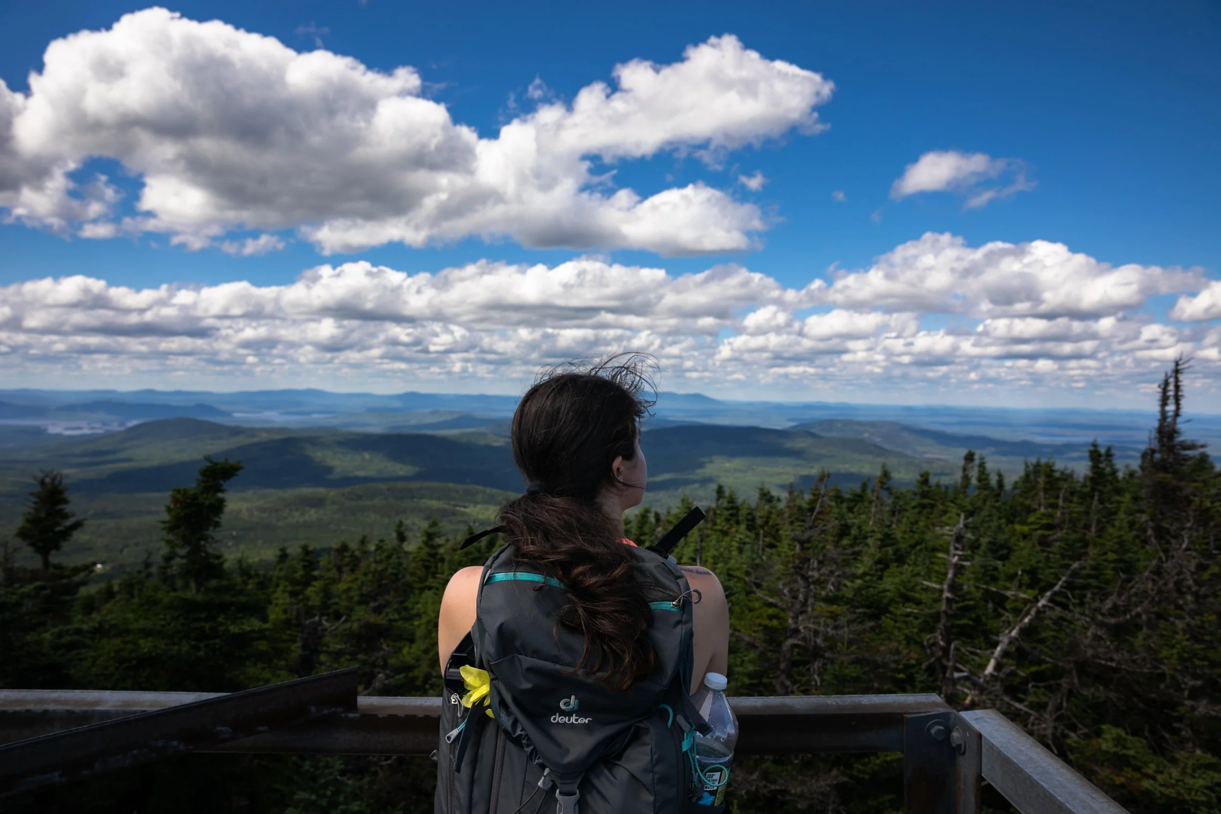 coburn mountain in maine in summer